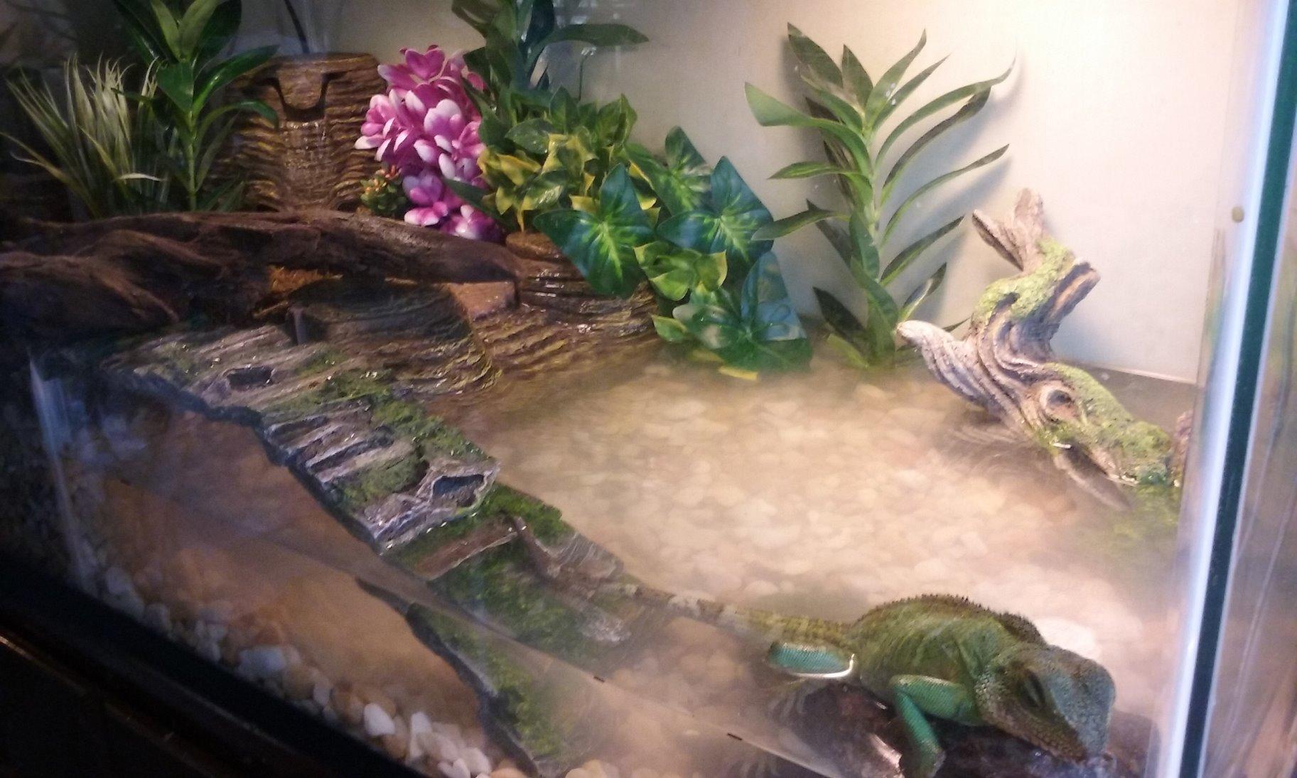 TetraFauna Viqaquarium, Terrarium & Aquarium Environment customer photo 2