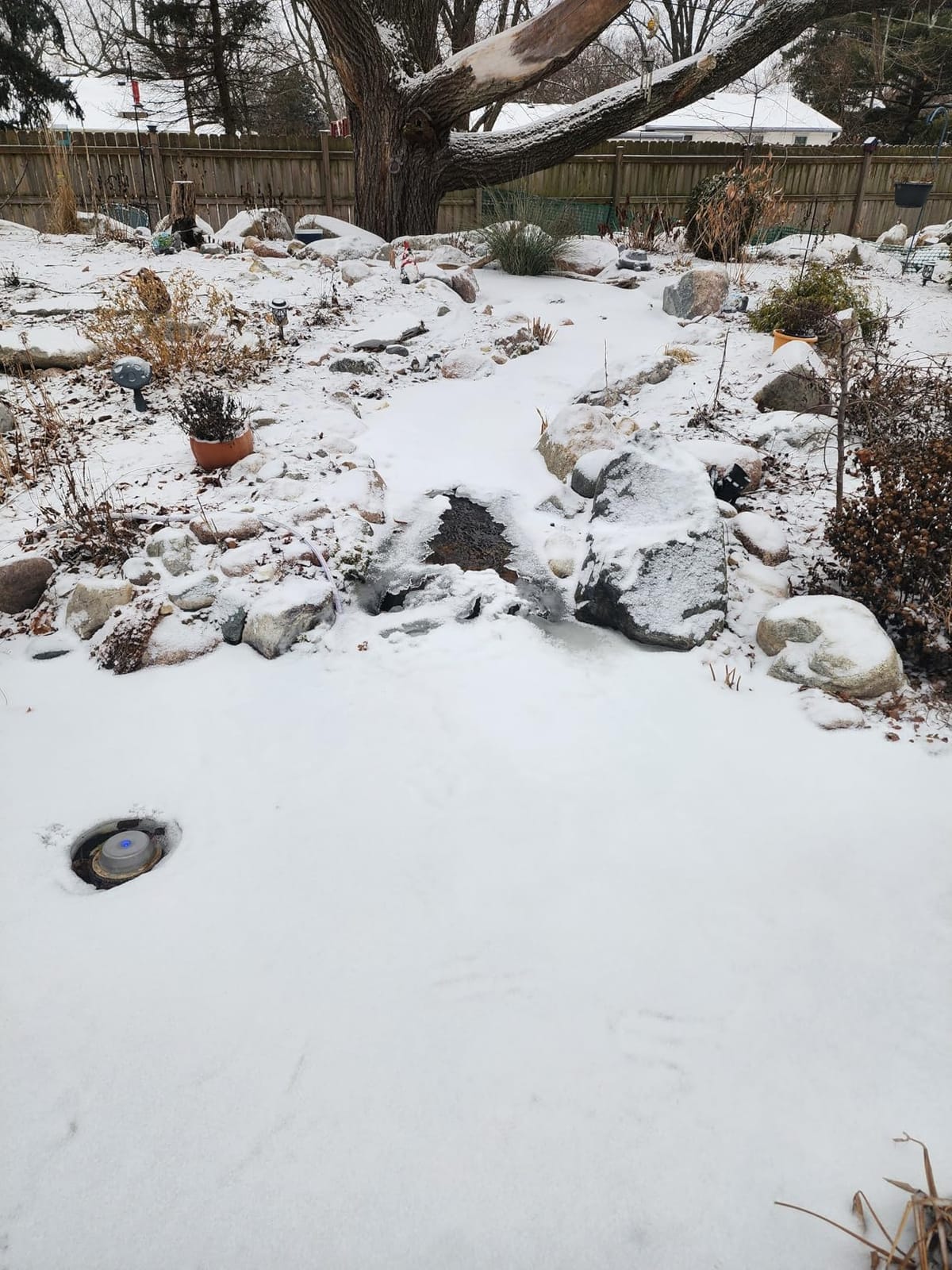 Aquascape Pond Heater Winter De-icer for Pond Water Feature Garden, 300 Watt 22' cord, 39000 customer photo 2