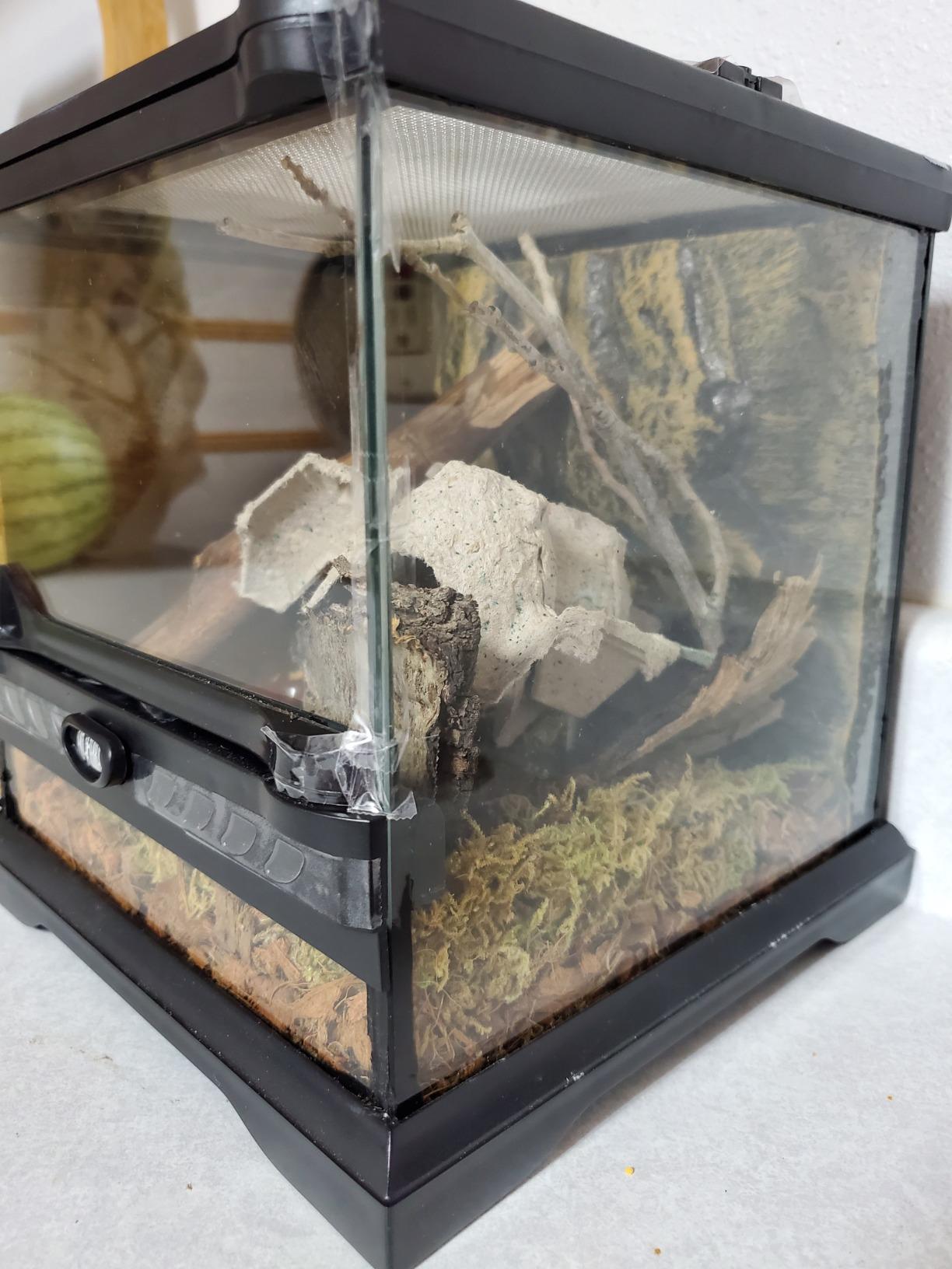 Exo Terra Glass Terrarium Kit, for Reptiles and Amphibians, Nano, 8 x 8 x 8 inches, PT2599A1 customer photo 1