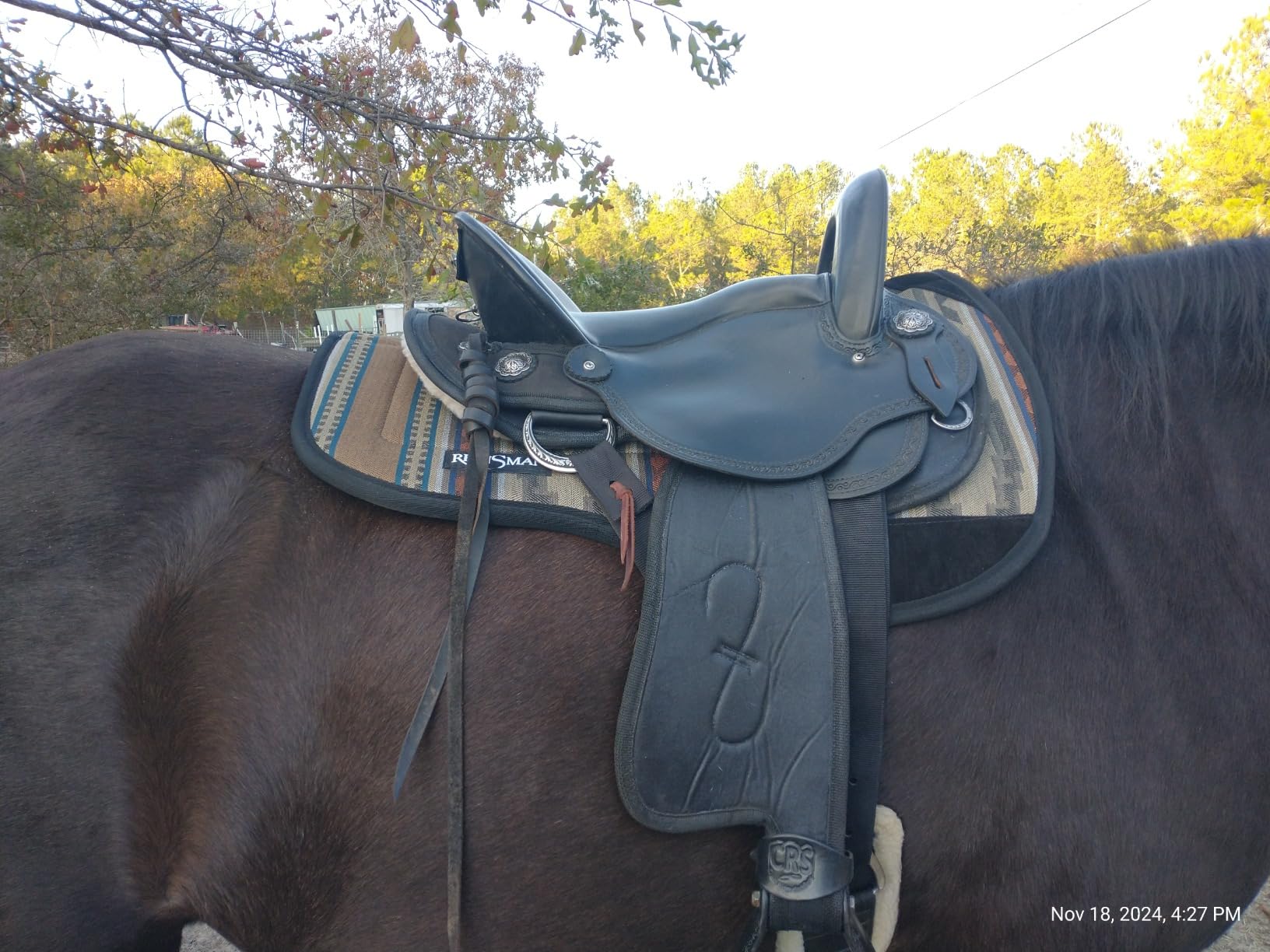 Reinsman Contoured Trail Pad with Breathable Non-Slip Tacky Too Bottom - Comfortable Durable Shock-Absorbing Stain & UV Resistant Horse Saddle Pad with Spine Relief Channel - 30
