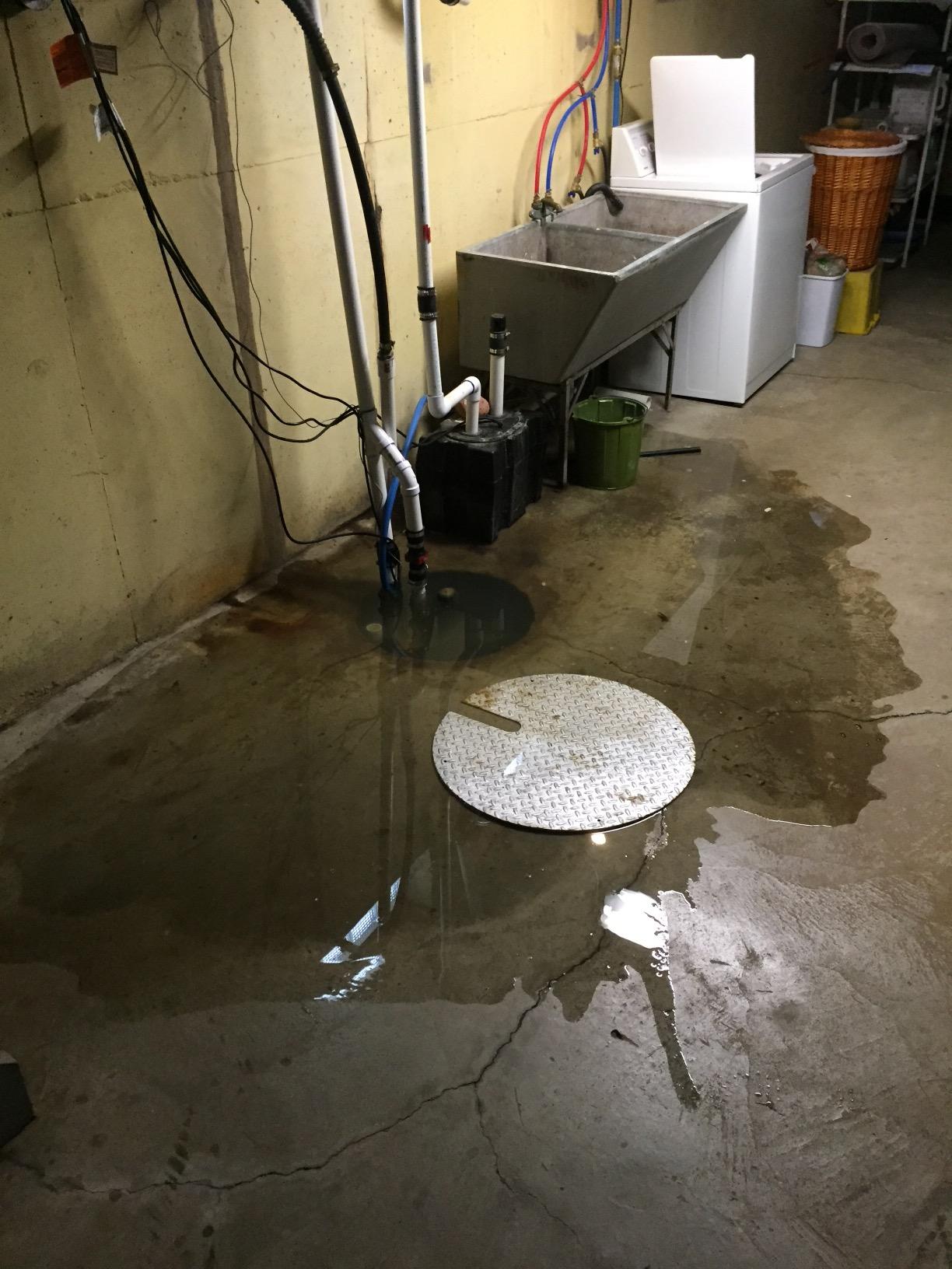 SumpJet® Water Powered Backup Emergency Sump Pump with NightEye® Wireless Alarm customer photo 1