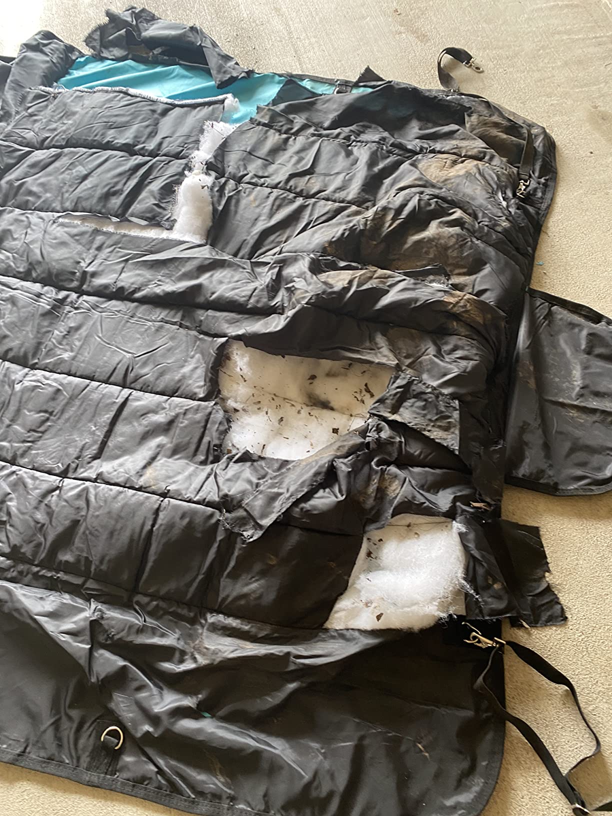 AJ Tack 1200D Waterproof Winter Horse Blanket - 400g Heavyweight Turnout with Fleece Collar, Shoulder Gussets & Tail Flap - Black 78