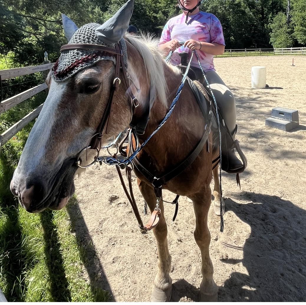 Weaver EquineTRV149205 customer photo 1