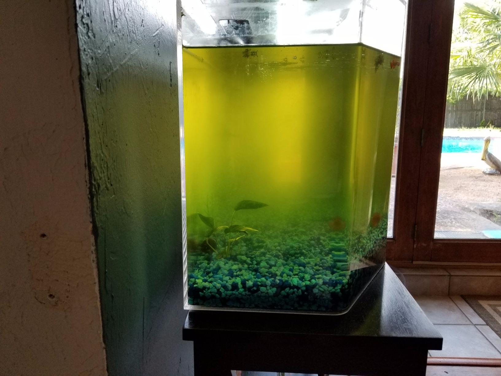Coralife Turbo-Twist 3X Aquarium UV Sterilizer, Up to 125 Gallons customer photo 1