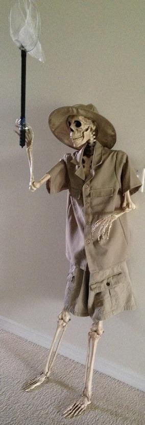 Crazy Bonez Original Pose-N-Stay Halloween Skeleton, 5 FT - Life-Size | Realistic, Fully Poseable Indoor & Outdoor Decoration, Durable Plastic Spooky Prop for Yard, Porch, Haunted House customer photo 2