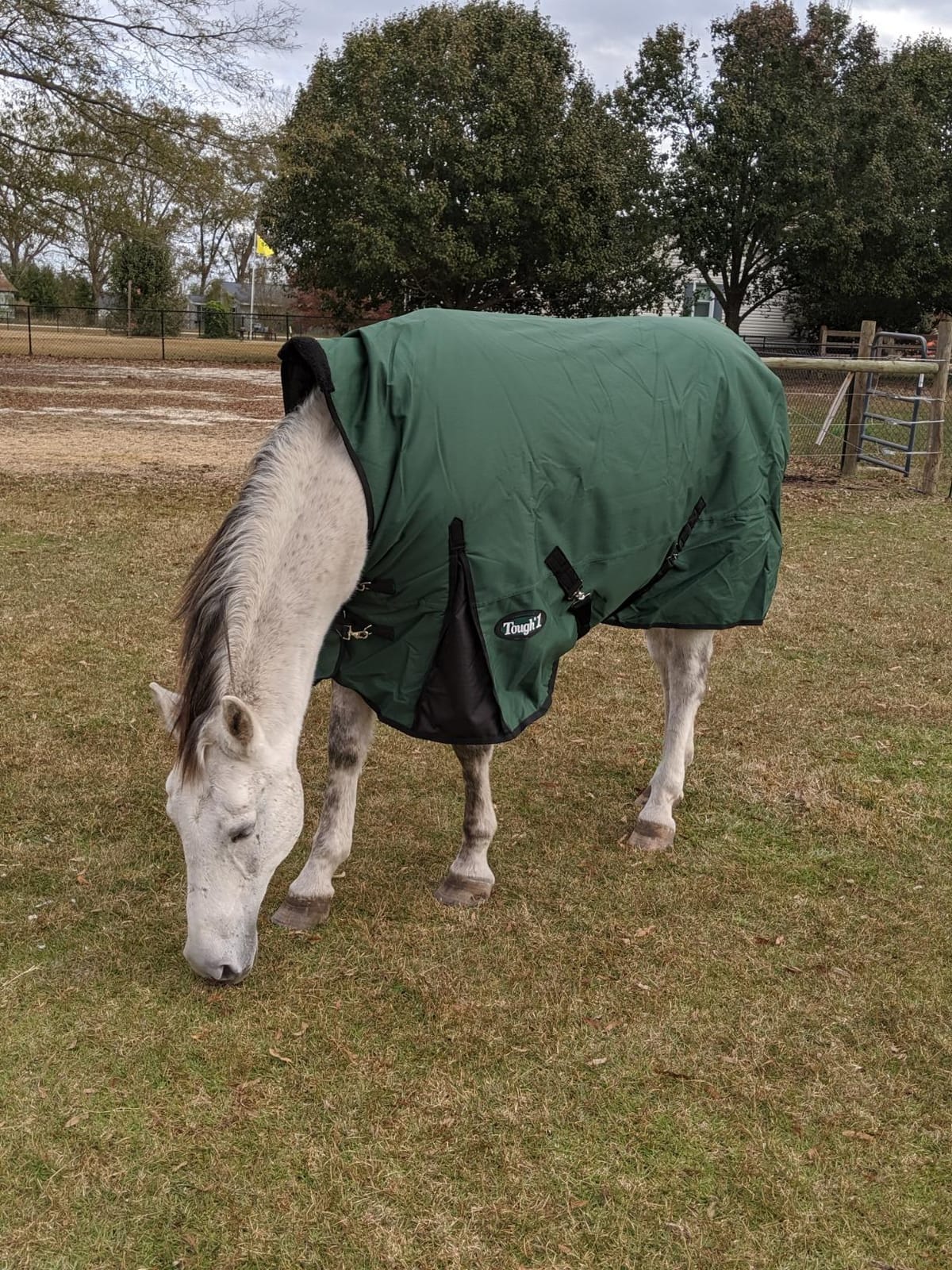 Tough 1 1200D High Neck T/O Blanket 300g customer photo 2
