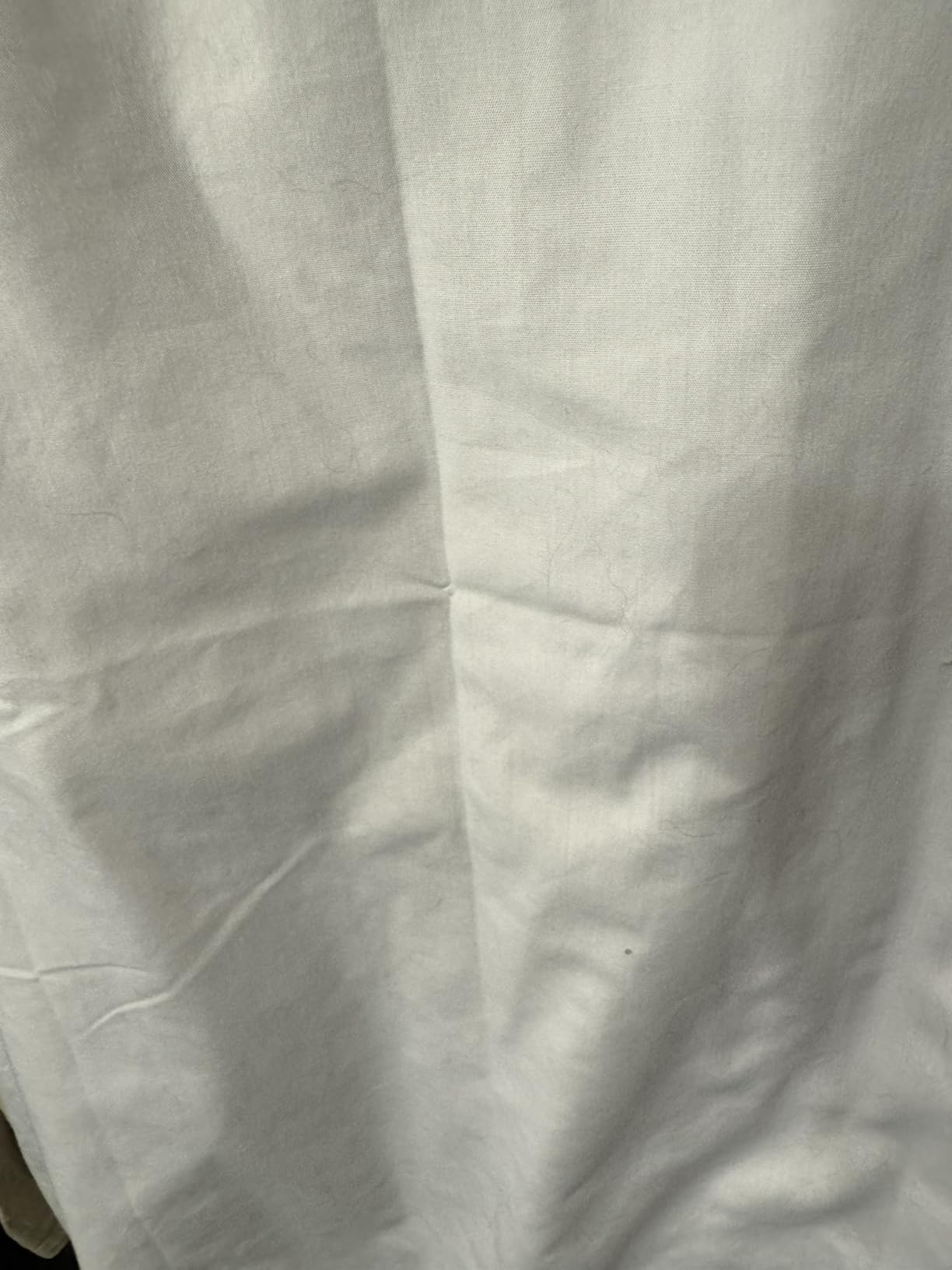 Van Heusen Mens Dress Shirt Regular Fit Poplin Solid customer photo 2