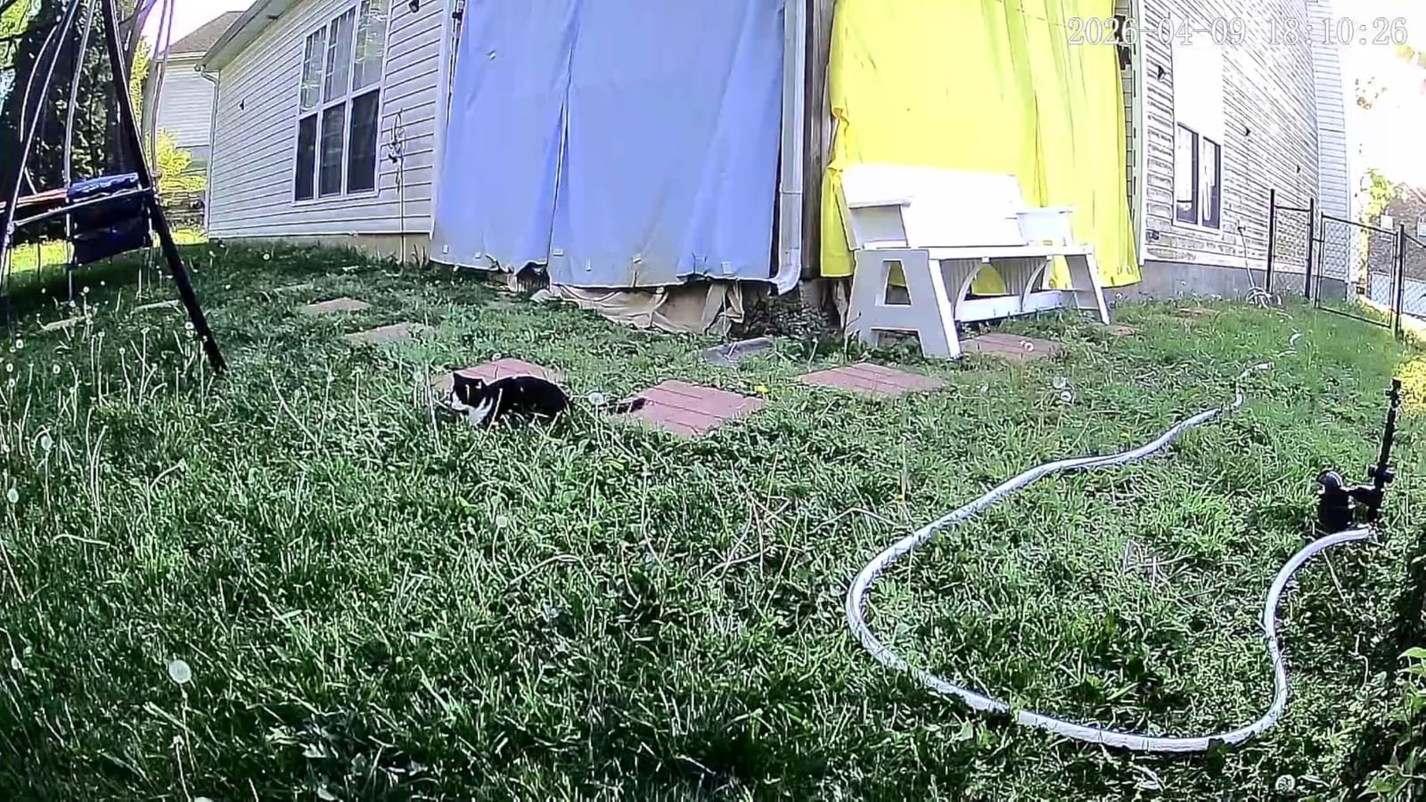 Orbit Yard Enforcer Motion-Activated Sprinkler - 62100 customer photo 2