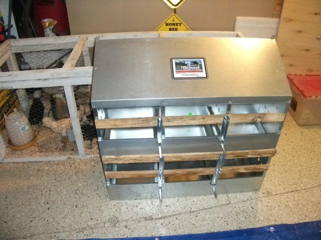 Brower 2-Tier 10-Hole Galvanized Steel Chicken Nesting Box, 50 to 60 Hen Capacity – Outdoor Poultry Laying Station with Hinged Folding Perches, Ventilated Design & Slanted Roof – Made in the USA customer photo 2