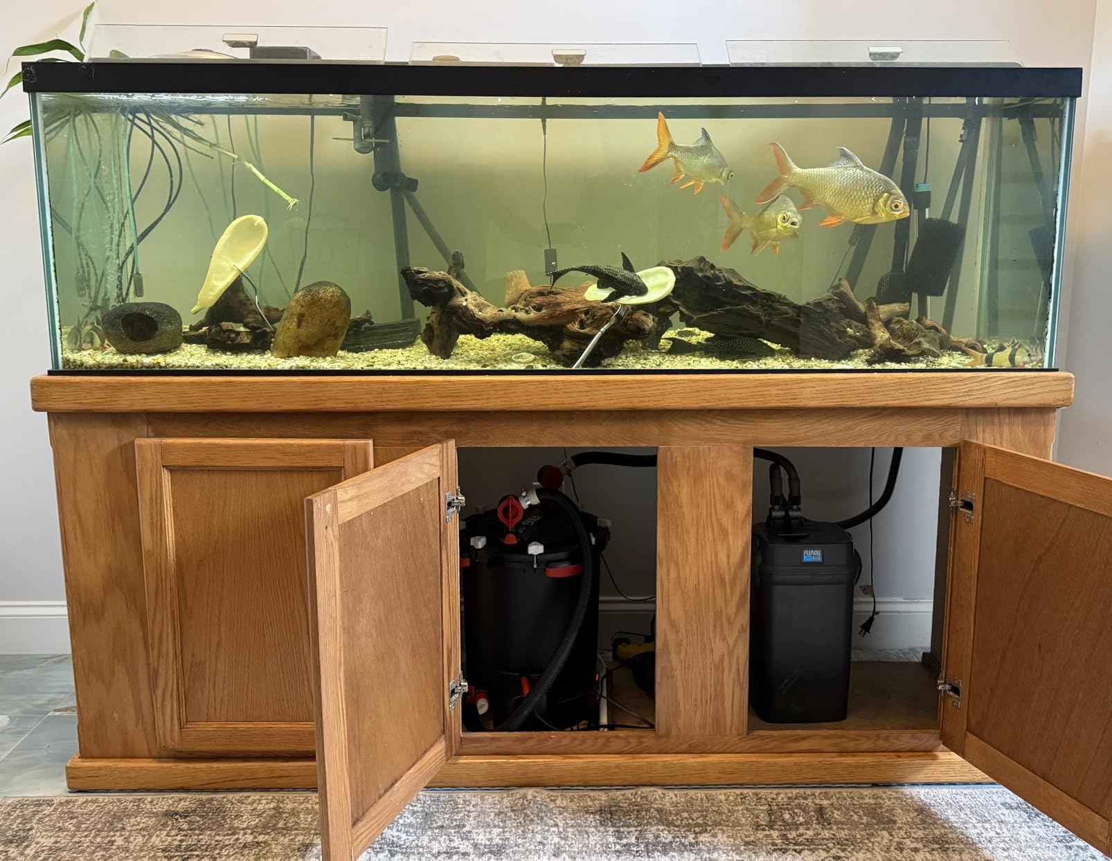 Fluval FX6 High Performance Aquarium Filter, up to 400 Gal. customer photo 1