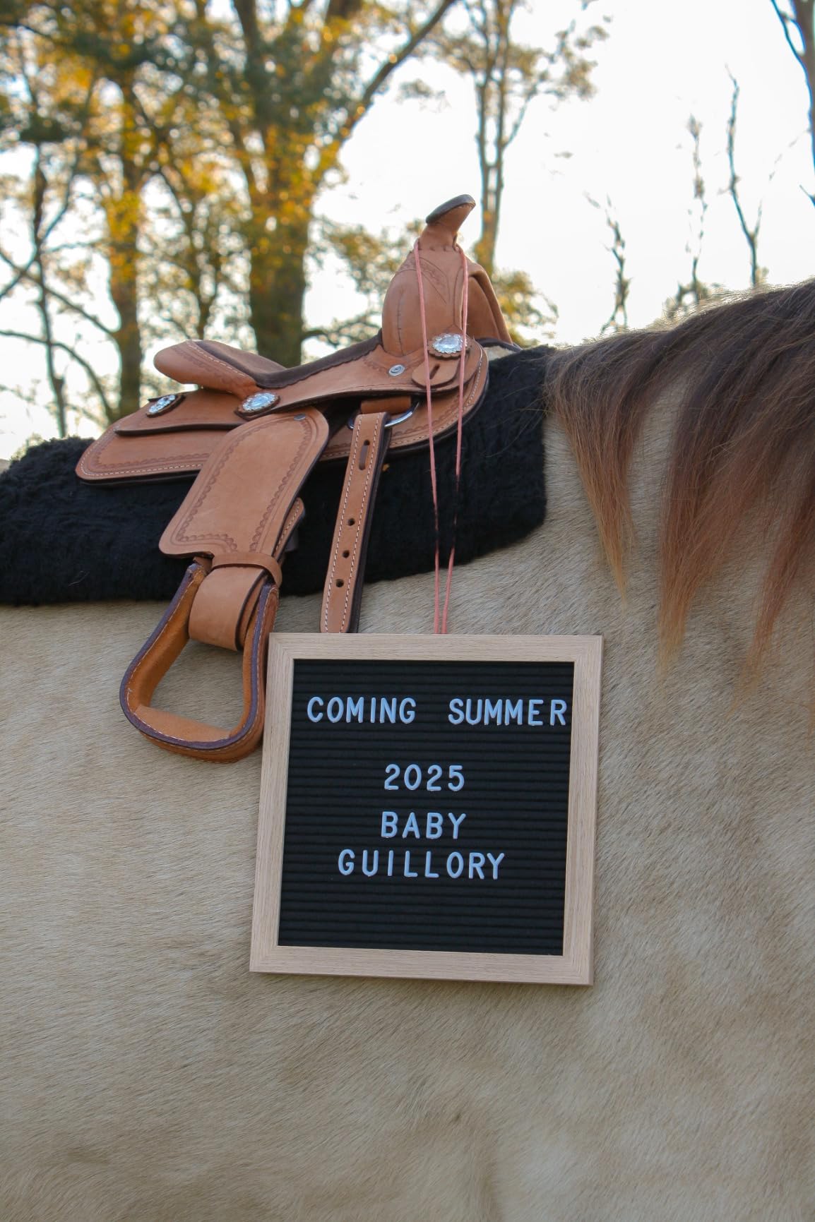 King Series Mini Deluxe Western Saddle customer photo 2