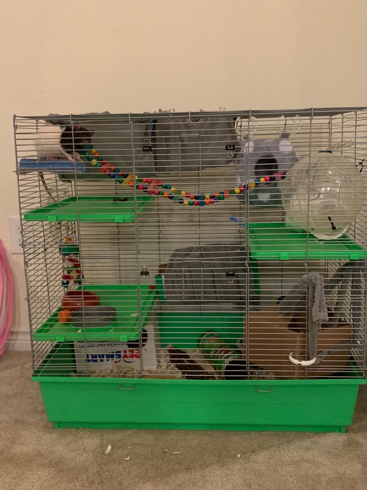 Kaytee My First Home Multi-Level Exotics Habitat for Pet Chinchillas, Rats, Degus, Sugar Gliders and Other Exotic Small Animals customer photo 2