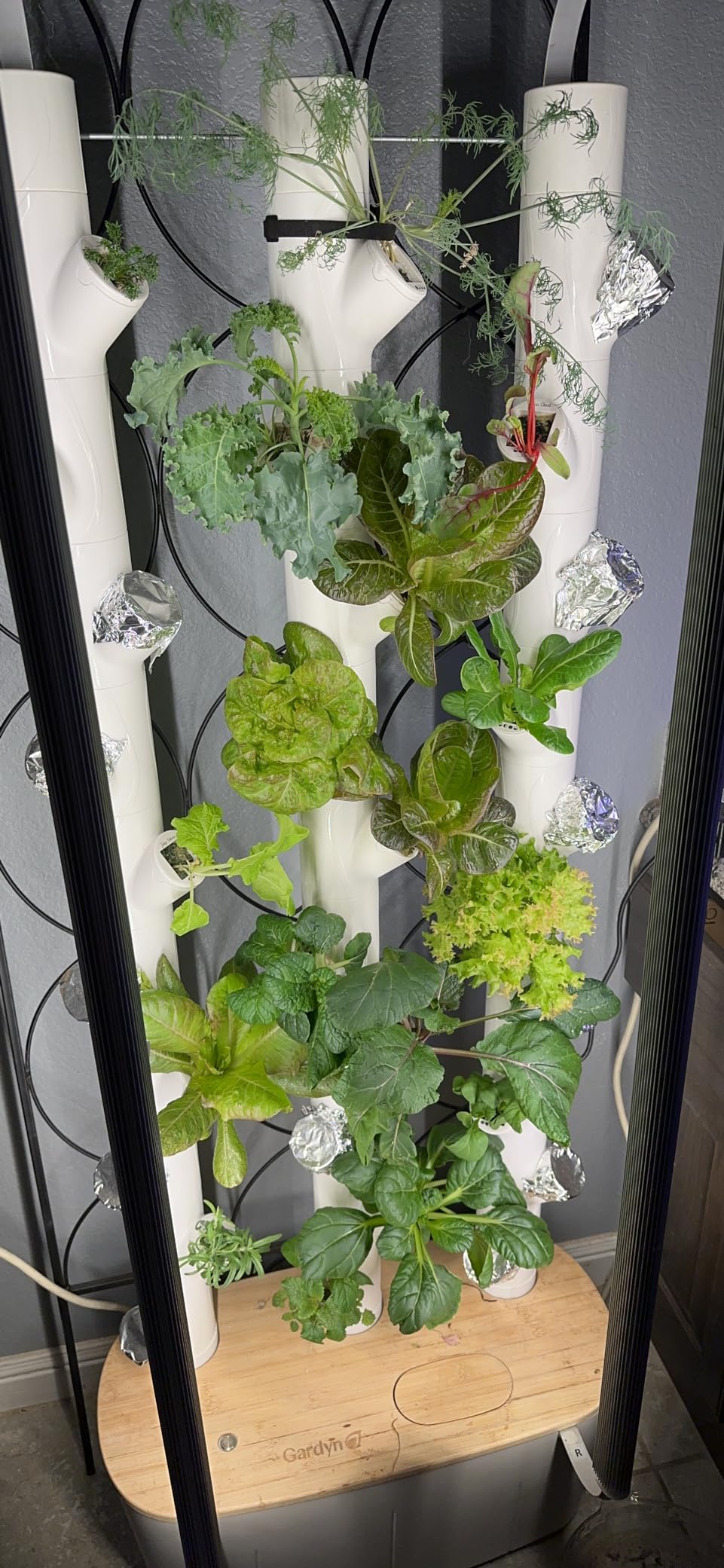 FoxFarm Grow Big Hydroponic Plant Food - 3-2-6 Liquid Plant Fertilizer for Lush Vegetative Growth in Hydroponic Systems - Liquid Concentrate with Earthworm Castings & Micronutrients - 1 Pint customer photo 2