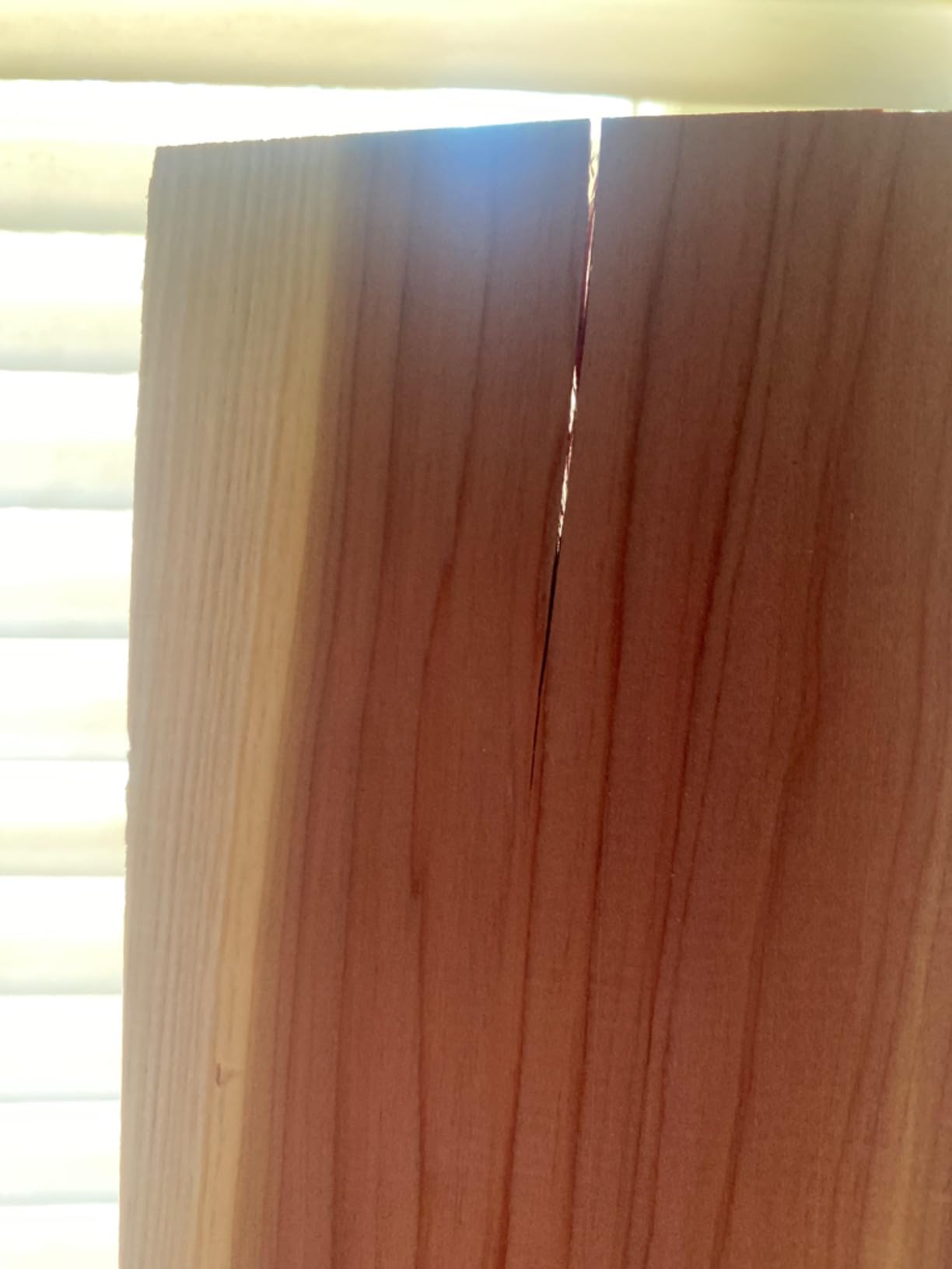 Household Essentials 25012-1 Cedarline Collection Cedar Wood Panels for Closet Storage | 10 Piece Value Pack customer photo 2