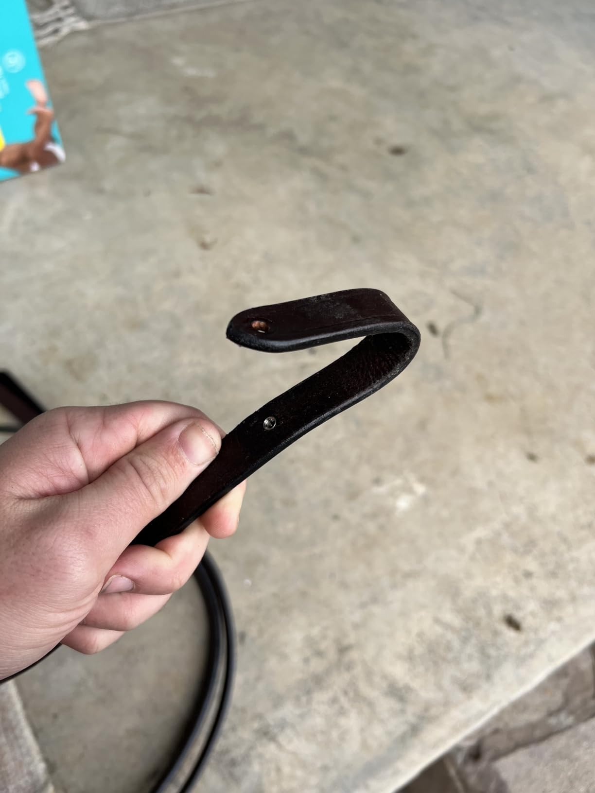 Tough 1 Western Leather Browband Draft Bridle customer photo 2
