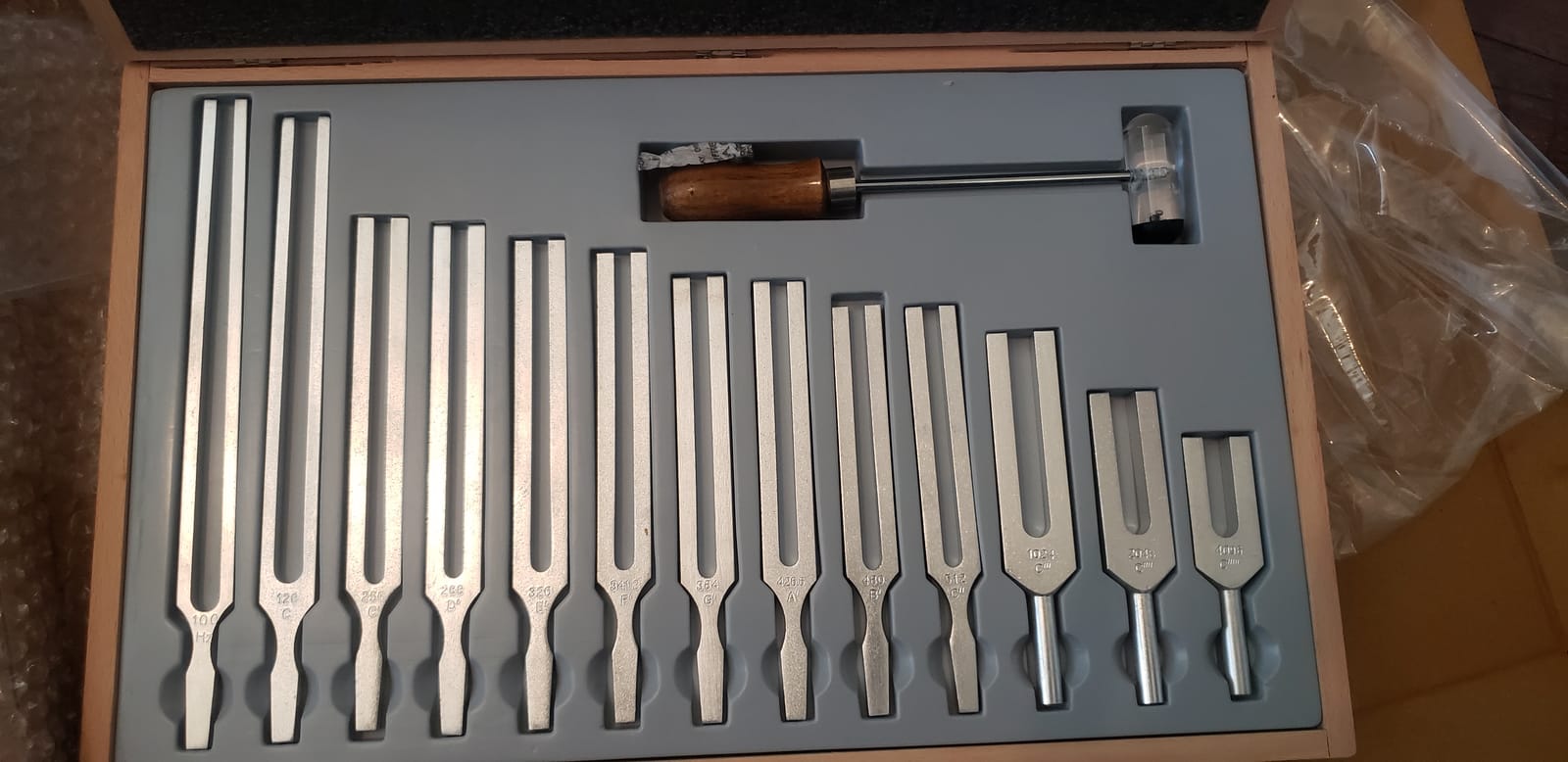 United Scientific Tuning Fork Set of 13 with Dual-Ended Mallet – 13 Aluminum Alloy Forks in Wooden Storage Box – For Sound Wave Physics Science Experiments – Frequencies 100 Hz to 4096 Hz Tuning Forks customer photo 1
