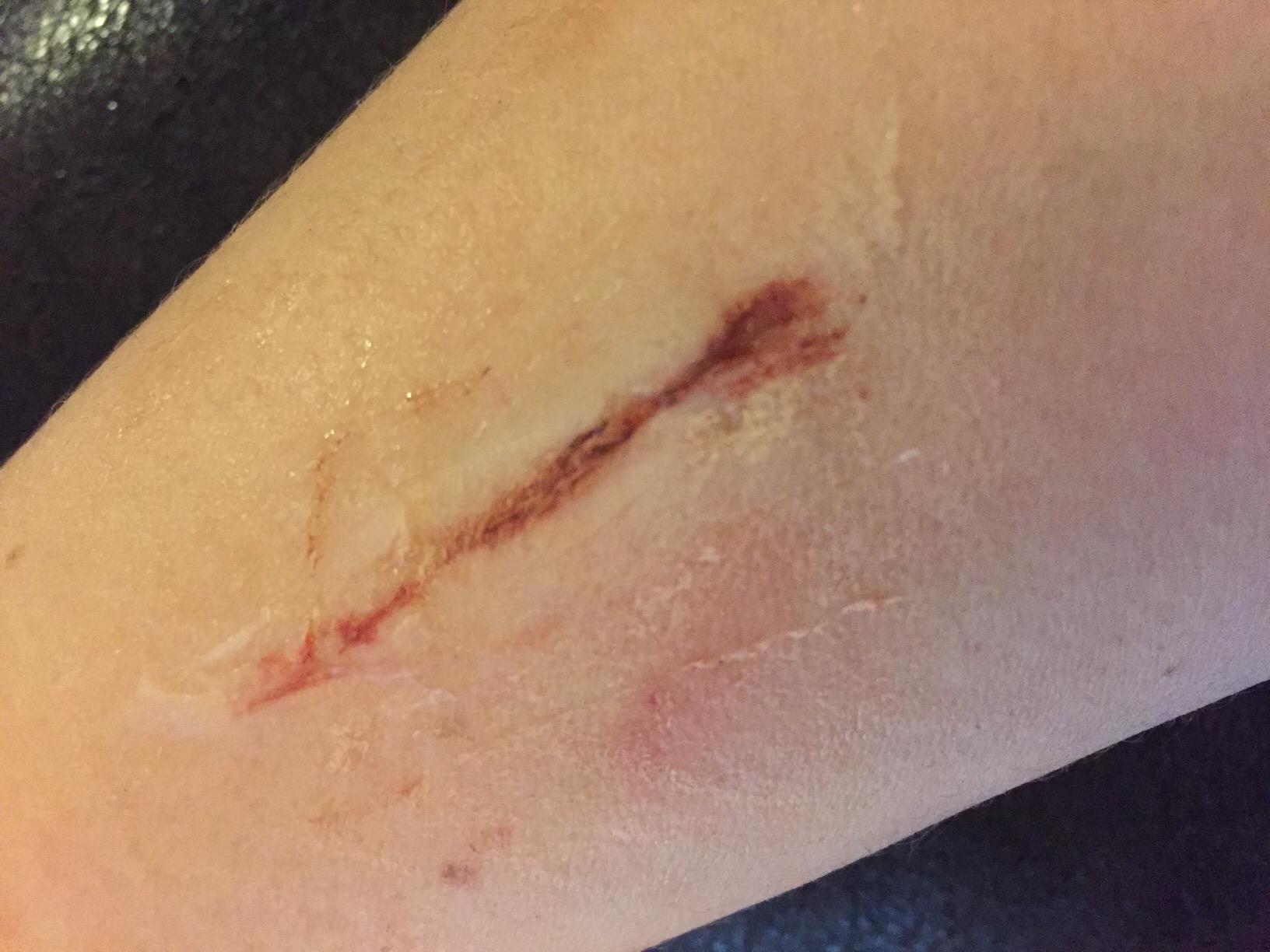 Mehron Makeup Special FX All-Pro Makeup Kit | All-Inclusive Kit for SFX Creations. Comes with Makeup, Tools, & Instructions. Cruelty Free, & Made in the USA. customer photo 1