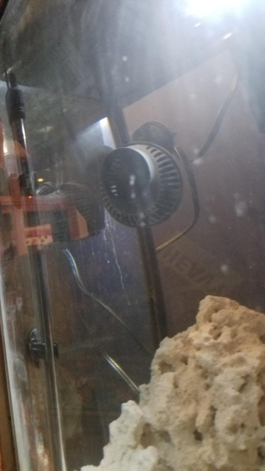 Super Aquatic JVP-102A 1300Gph Aquarium Circulation Pump Wave Maker Power Head with Suction Cup customer photo 2
