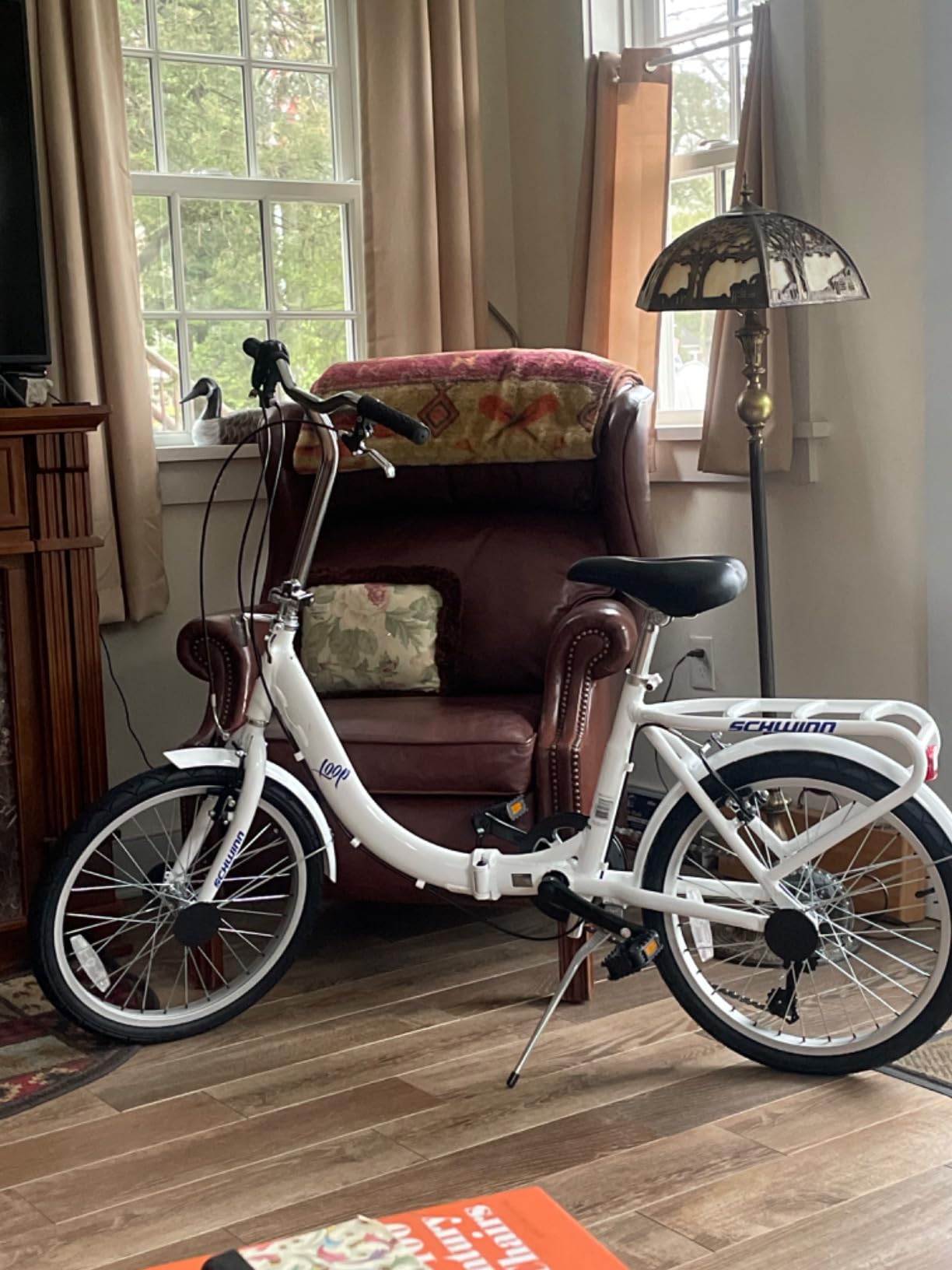 Schwinn Loop customer photo 1