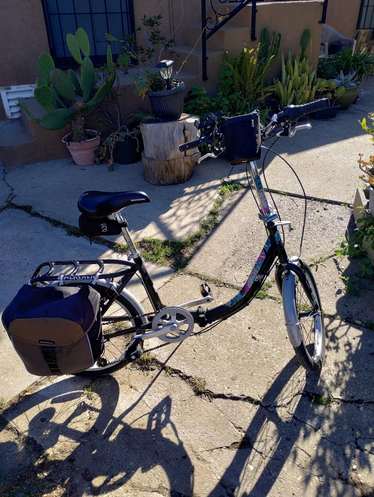 Schwinn Loop customer photo 2