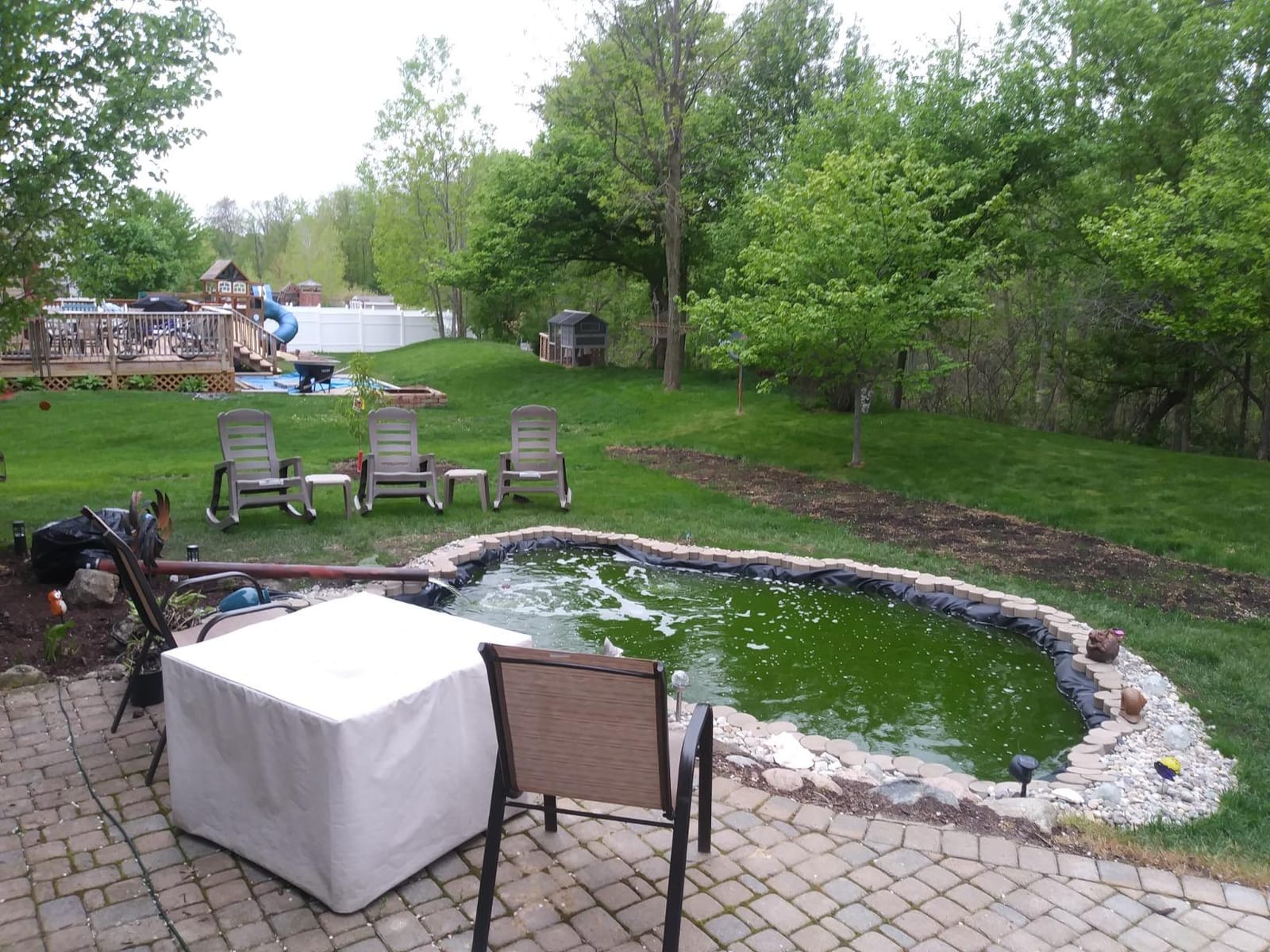 OASE Vitronic 18 UV Clarifier for Pond customer photo 1