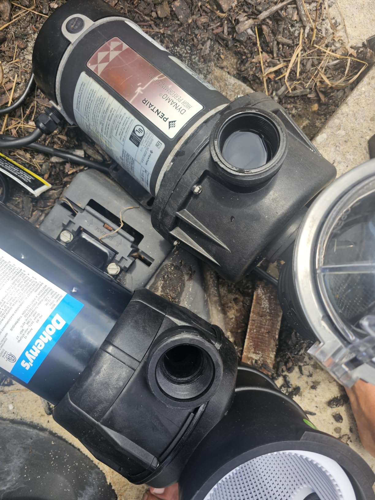 Doheny's 1.5 HP Above Ground Swimming Pool Pump customer photo 2