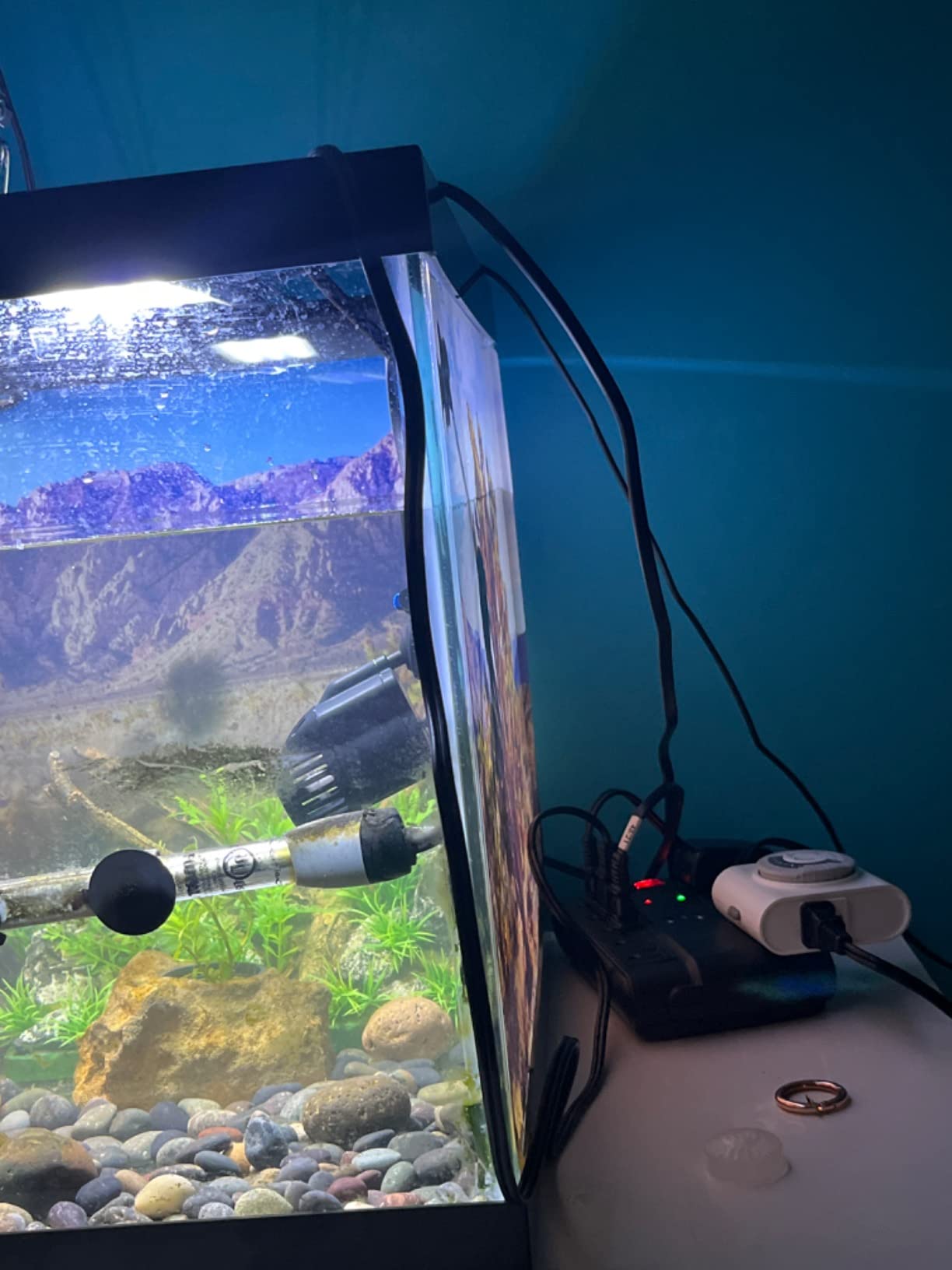 SunSun JVP-110 2.5W 528GPH Mini Wavemaker with Suction Cup (1 Head) customer photo 2