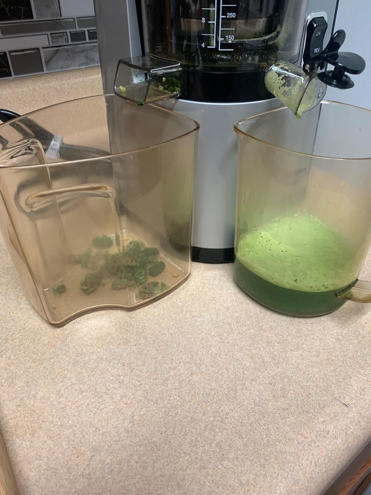 Omega Pure Press Cold Press, Vertical Low-Speed Juicer, in Red (VSJ843QR) customer photo 1