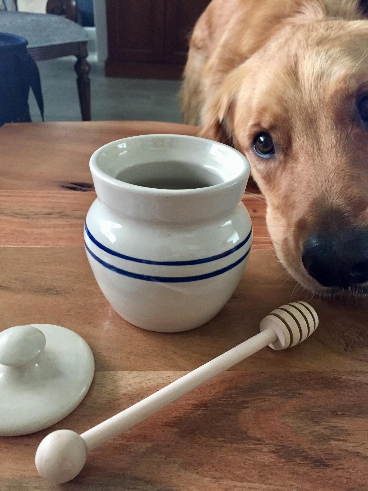 Heritage Blue Stripe Stoneware Honey Pot with Wooden Dipper customer photo 1