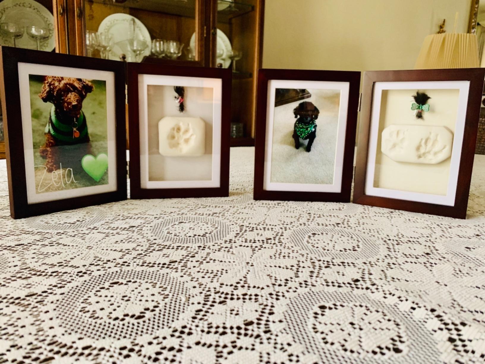 Pearhead Pet Paw Print Memorial Frame with Clay Imprint Kit, Espresso Brown customer photo 2