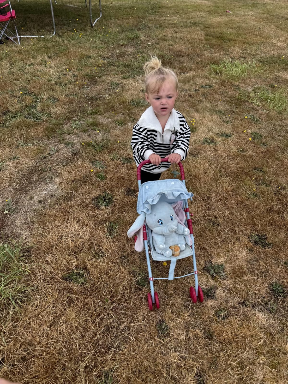 The New York Doll Collection My First Doll Stroller with Basket & Heart Design Foldable Doll Stroller, Pink customer photo 2