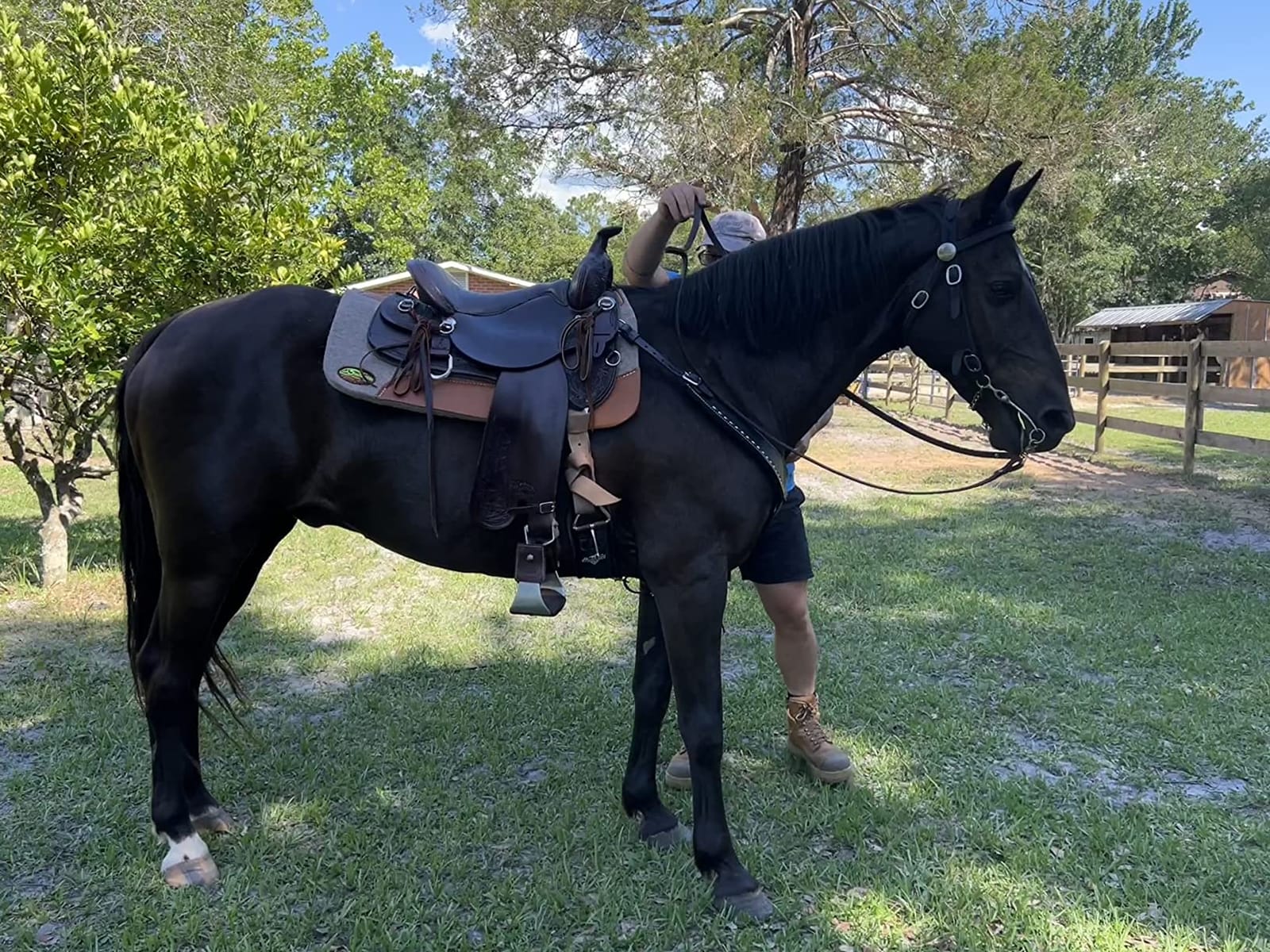 The Montana 100% Extra Fine Wool Made in the USA Saddle Pad by Southwestern 3/4