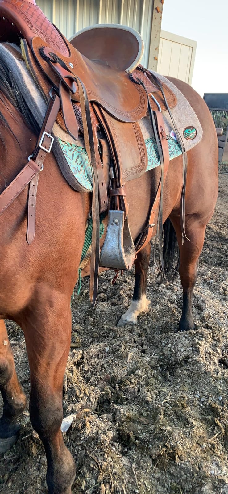 The Montana 100% Extra Fine Wool Made in the USA Saddle Pad by Southwestern 3/4