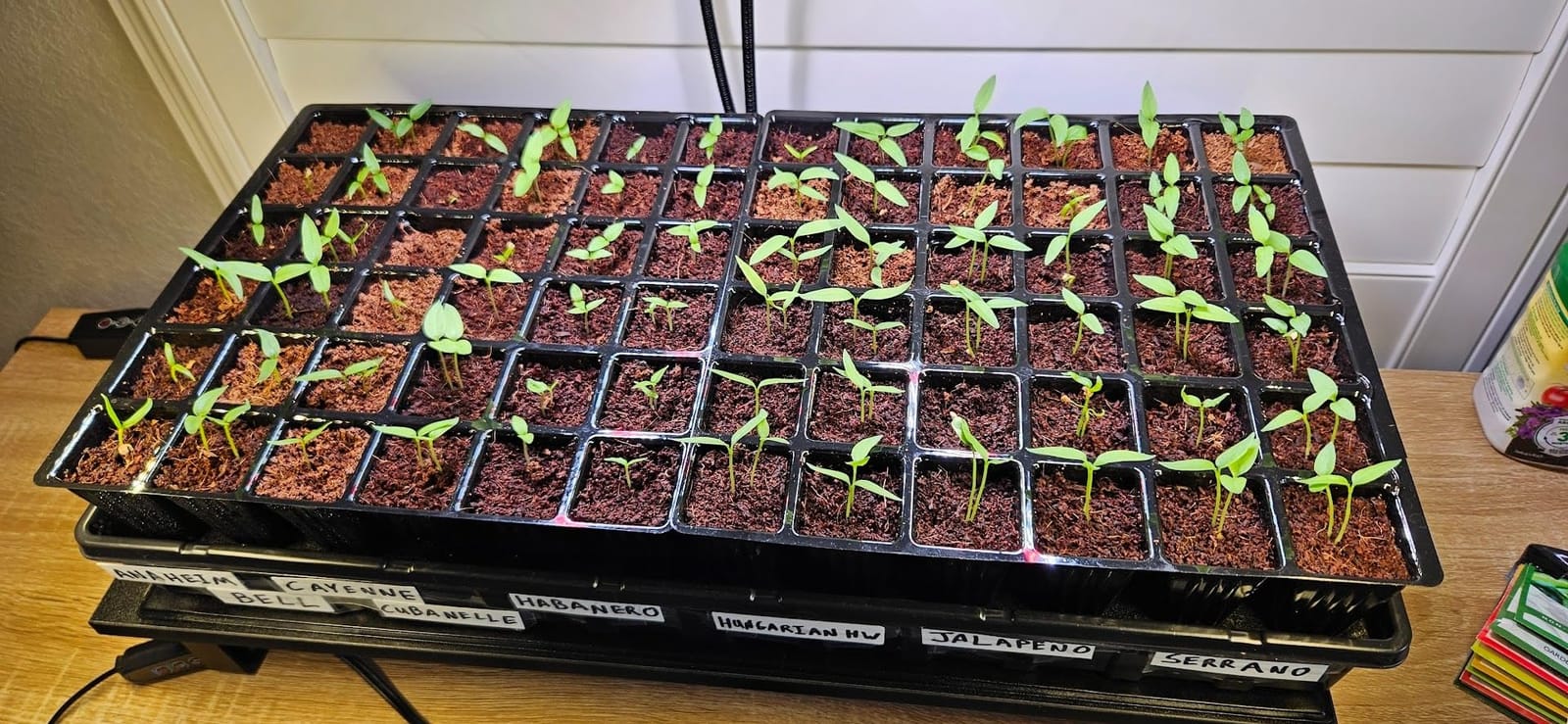 Burpee XL Self-Watering Growing System Indoor Seed Starting 10