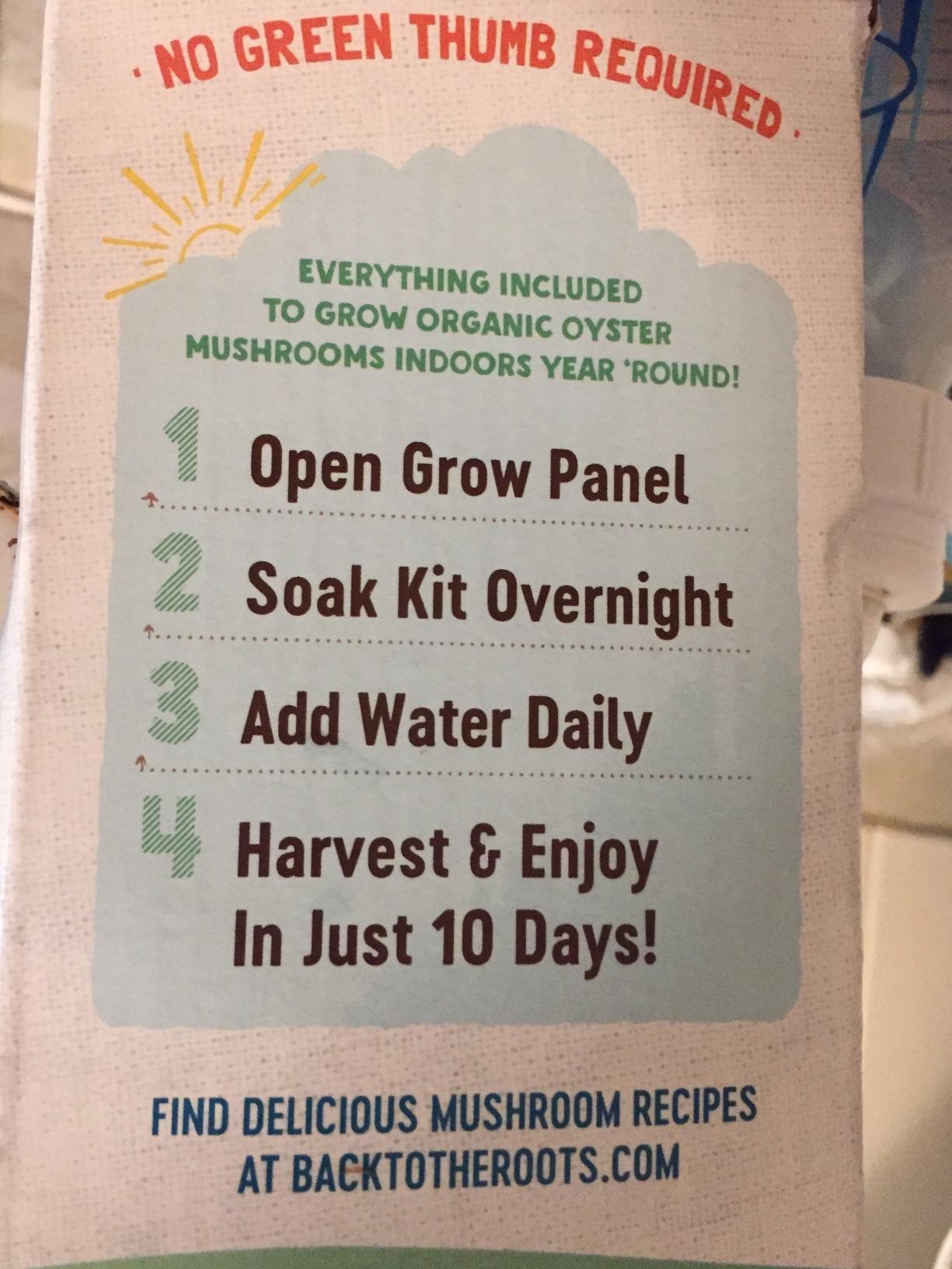 Back to the Roots Organic Mini Mushroom Grow Kit, Harvest Gourmet Oyster Mushrooms In 10 days, Top Gardening Gift, Holiday Gift, & Unique Gift customer photo 1