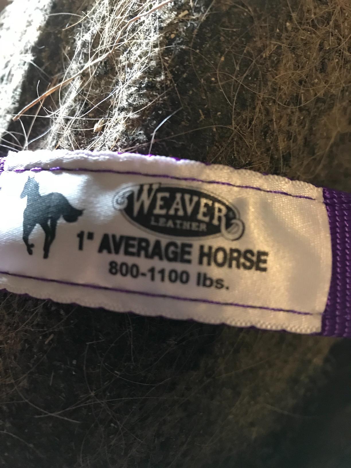 Weaver Equine Nylon Horse Halter, Comfort Double-Ply Webbing, Basic Non Adjustable Halters for Horses, Equine Tack,Average Size, Purple customer photo 1