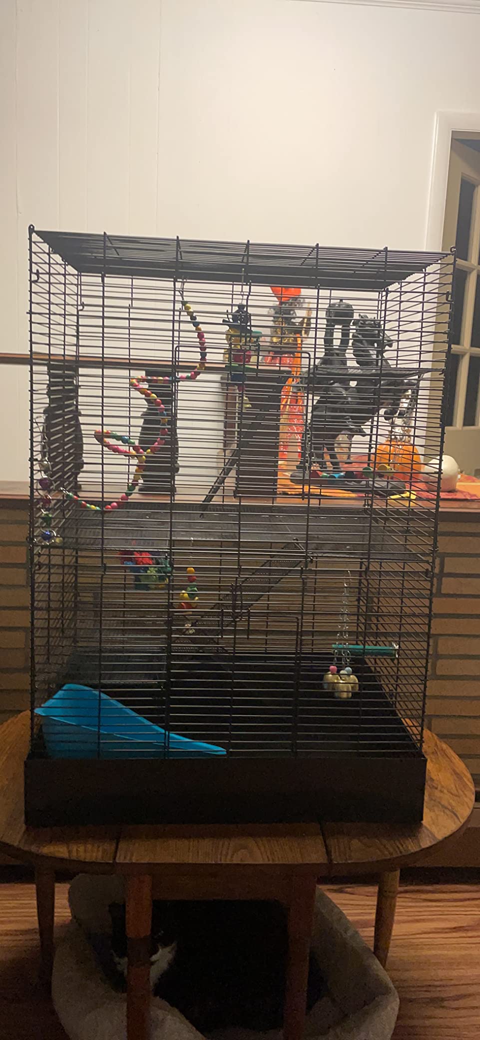 You & Me by Petco Rat Manor Habitat 16.5