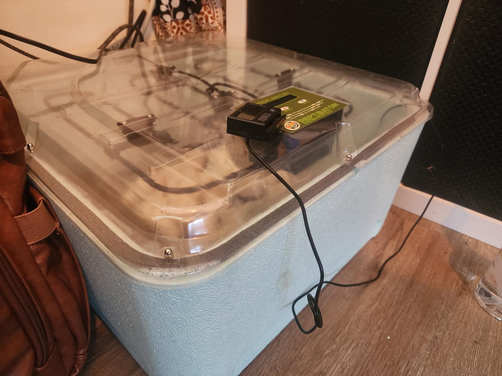 Zoo Med Laboratories - Reptibator Egg Incubator - RI-10 customer photo 2