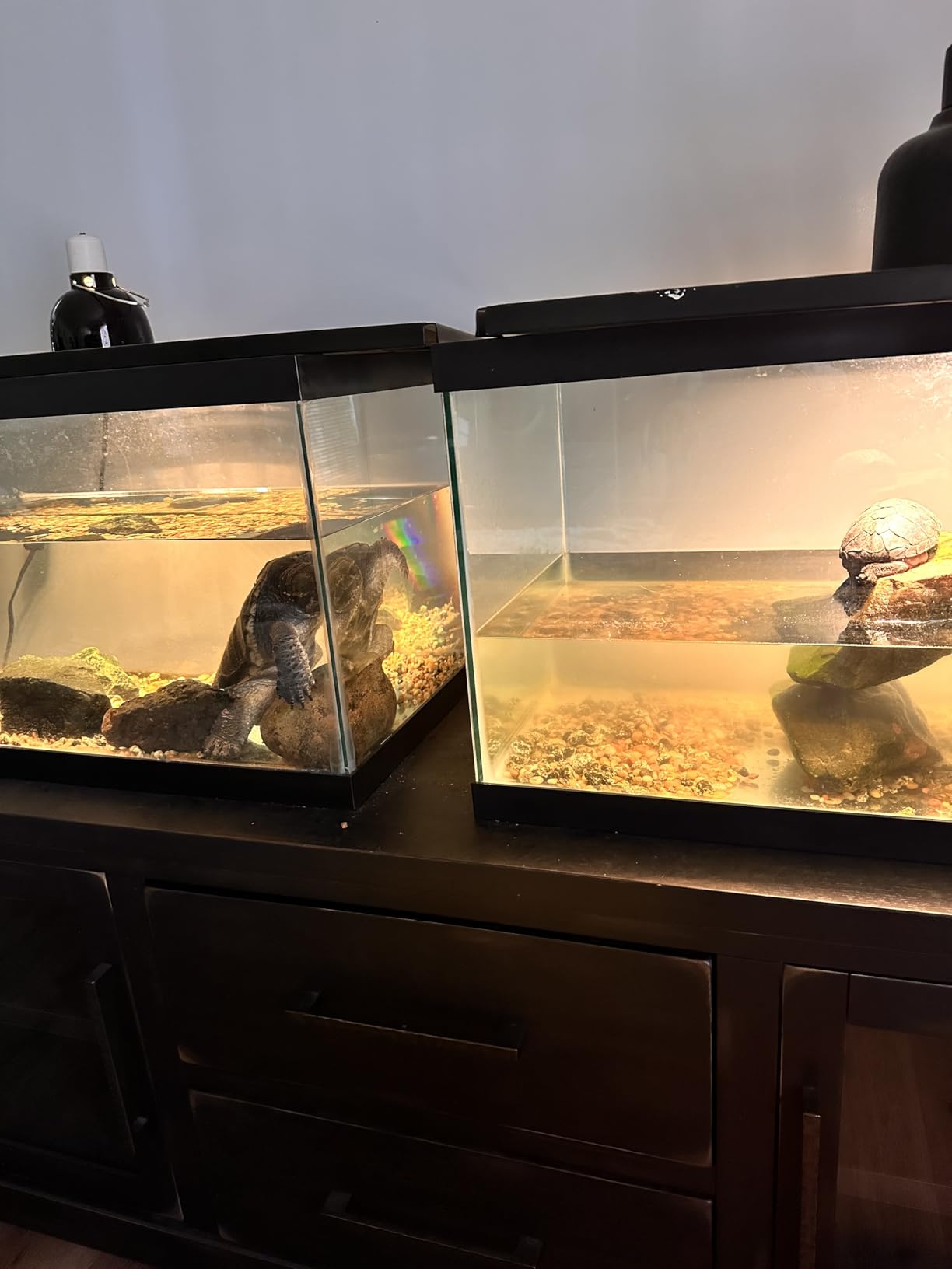 Marineland Magniflow 250 GPH Canister Aquarium Filter customer photo 1
