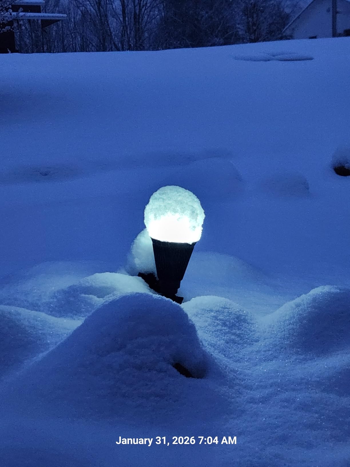 FALOVE Solar Spot Lights Outdoor Cool White LED Waterproof Landscape Lamp | 2 Modes Lighting, Large Size Power Panel, 12 Hrs Lasting Working, Bright Illuminated Flag, Tree, Flower, Lawn, Garden, Yard customer photo 2