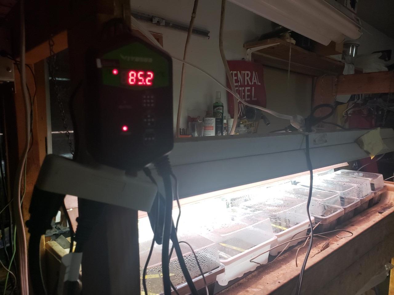 VIVOSUN Digital Heat Mat Thermostat Controller, 40–108 ºF 1000W for Reptiles, Seedlings, Germination, Incubation and Fermentation customer photo 1