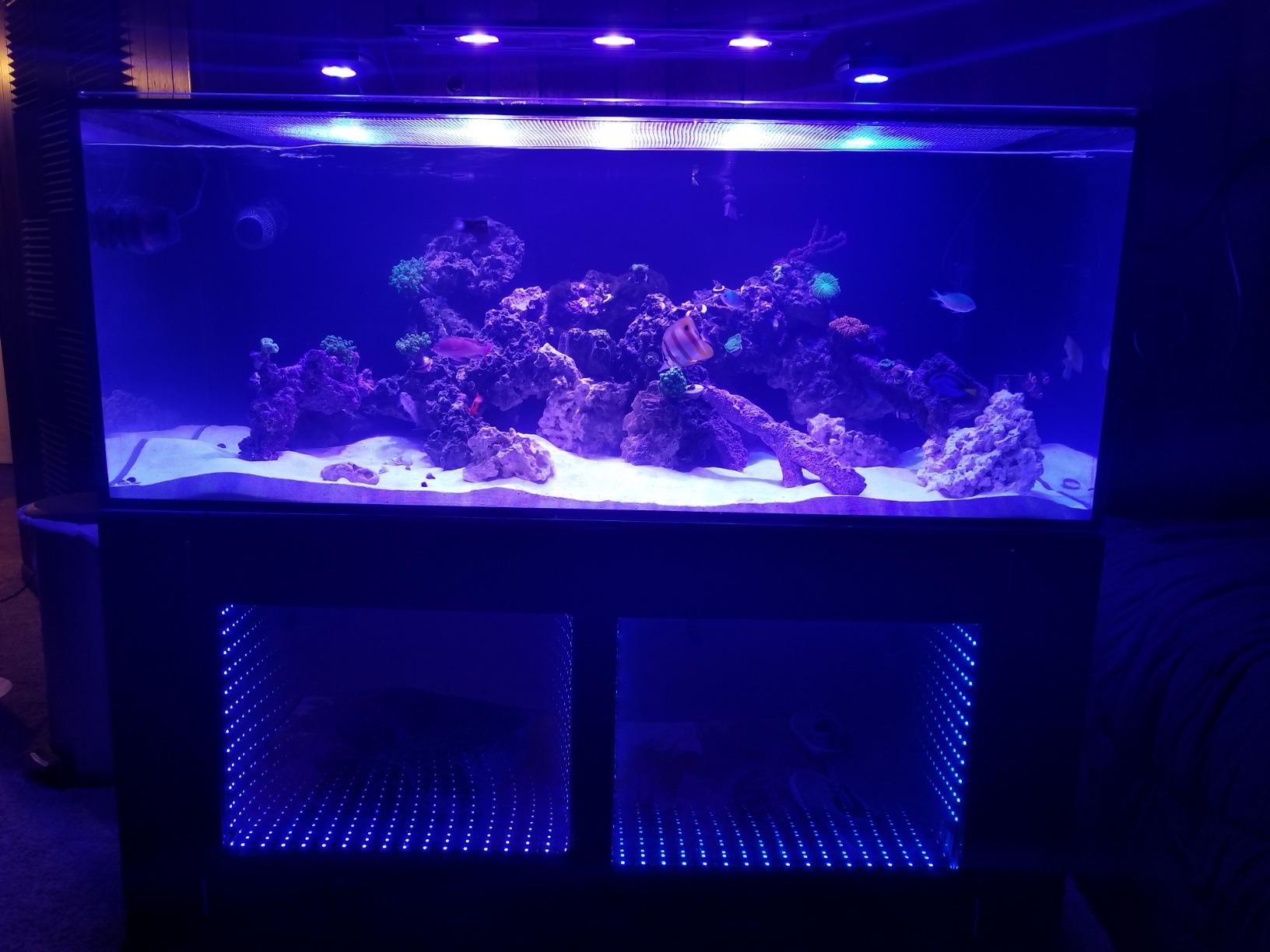 Innovative Marine 939022 Auqa Gadget Hydro Fill Ti Ato Controller System customer photo 2