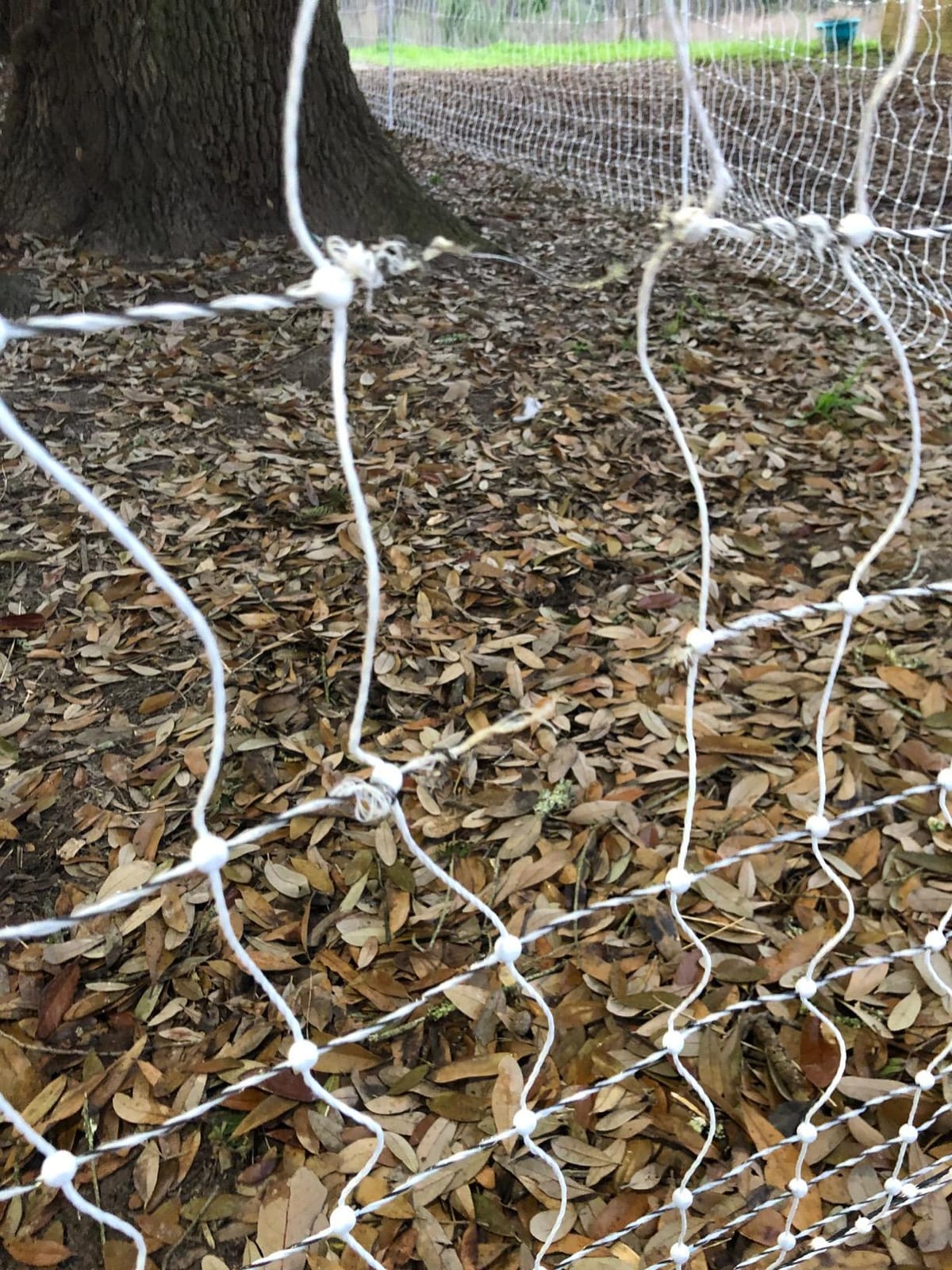 Premier 1 PoultryNet® Electric Fence for Chickens – 48
