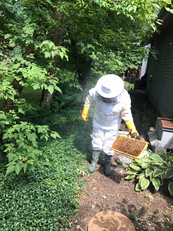 Humble Bee 430 Ventilated Beekeeping Suit with Round Veil customer photo 1