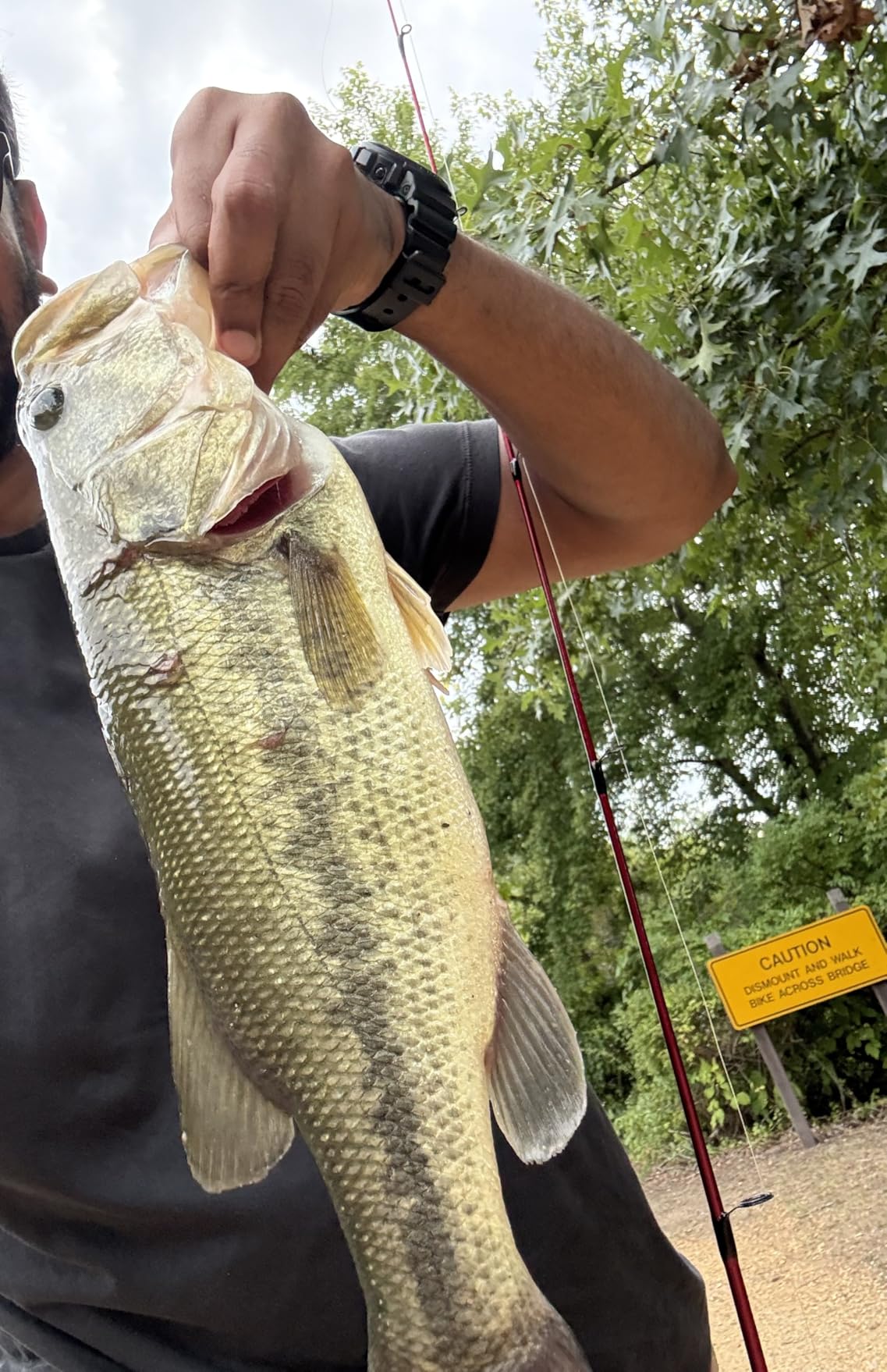 Yum Lures YDG customer photo 1