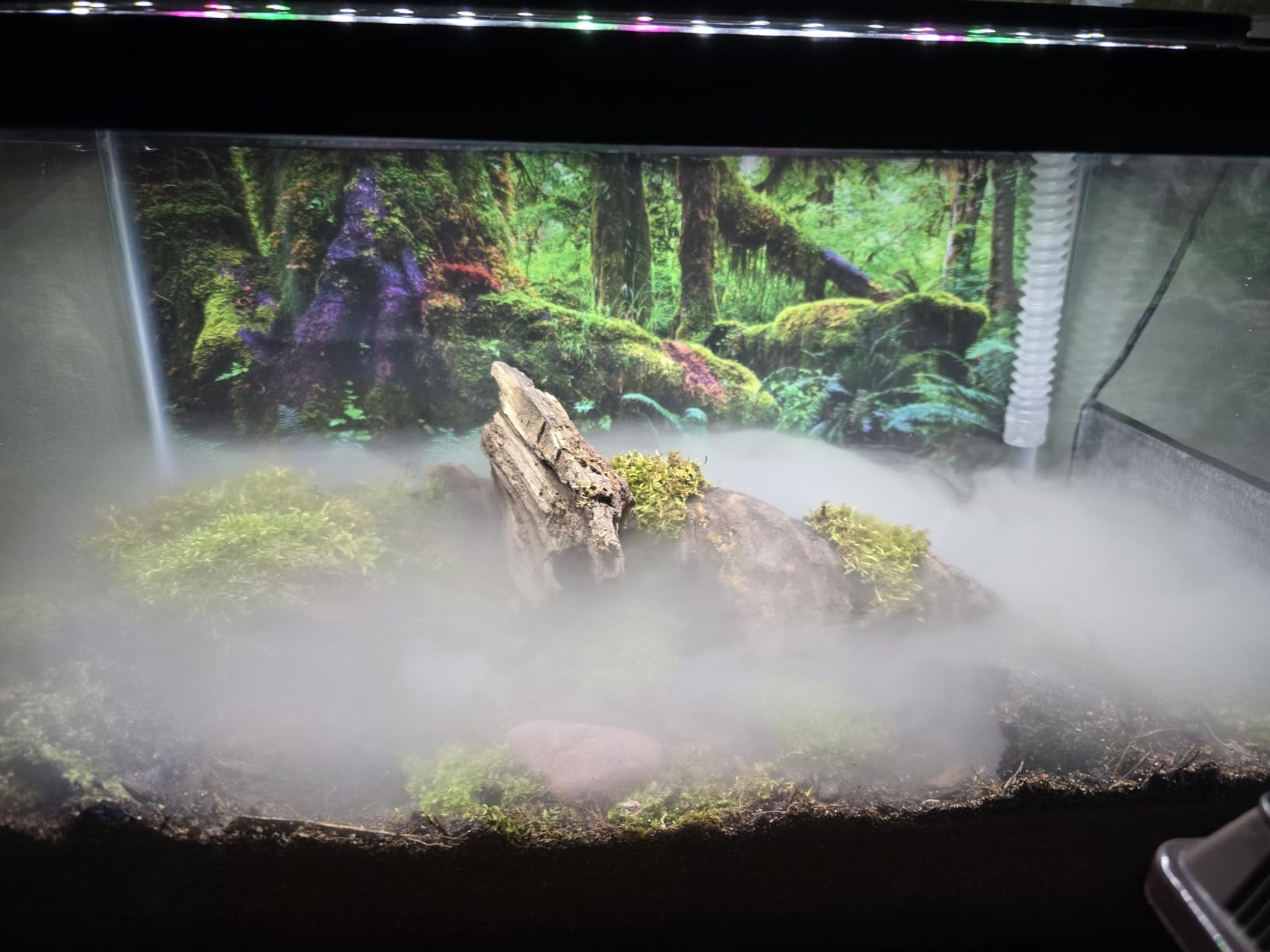Evergreen Pet Supplies Reptile Fogger & Humidifier - Adjustable Fog Output for Mini Terrarium Fogger - 2 L Tank with Auto Shut-Off for Tortoise Humidifier - 2 L, Black/Clear customer photo 2
