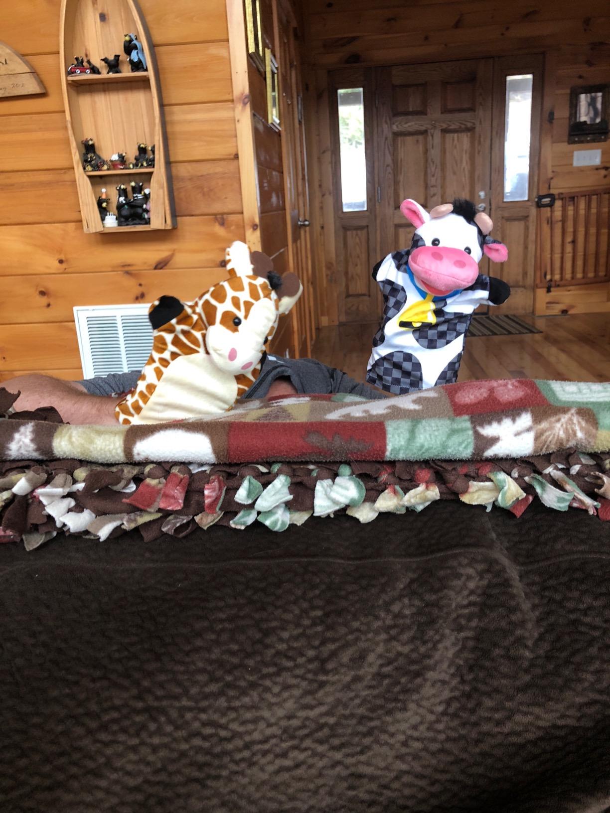 Melissa & Doug Animal Hand Puppets (Set of 2, 4 Animals in Each) - Zoo Friends and Farm Friends customer photo 1