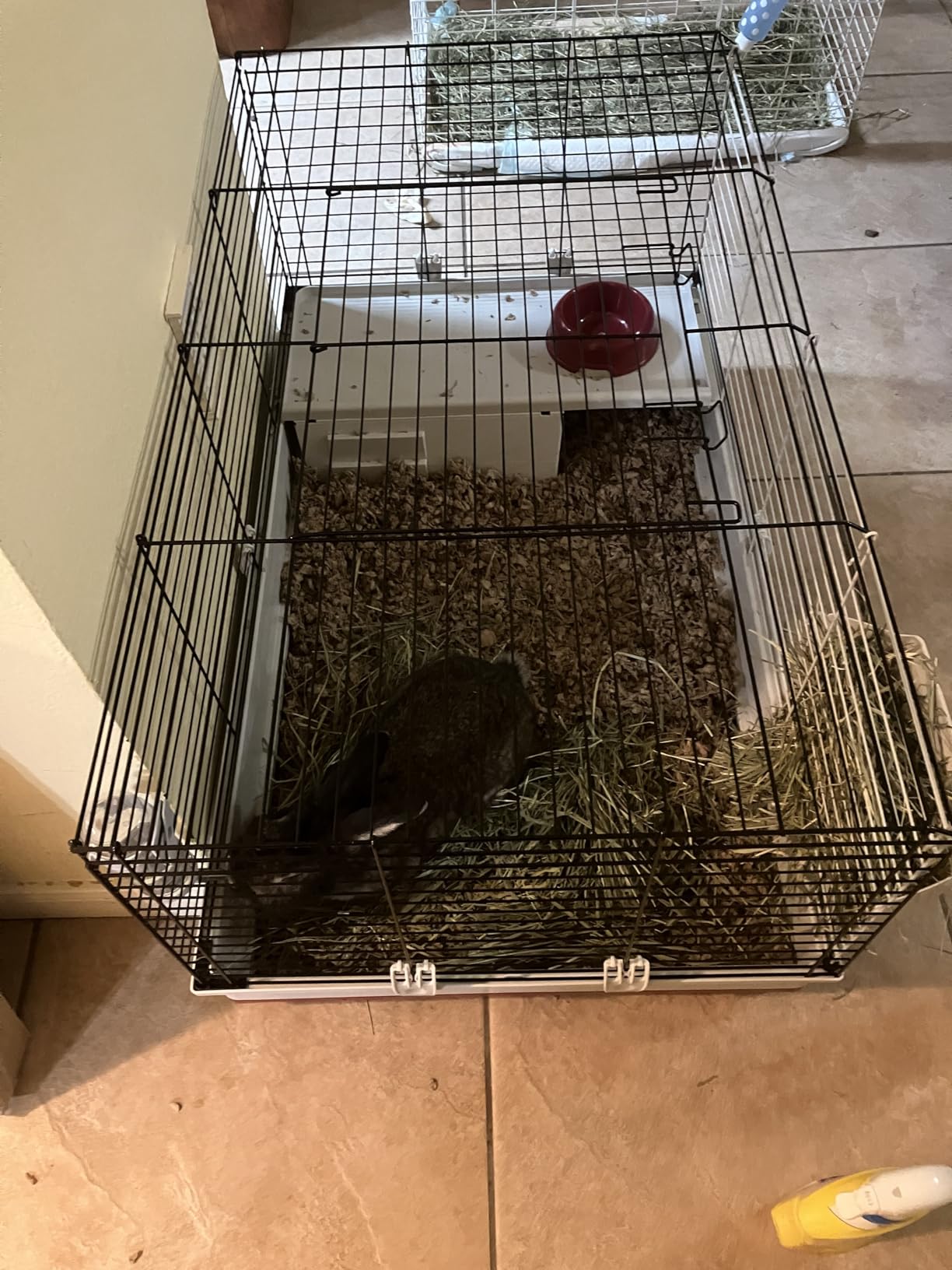 MidWest Homes for Pets 158 Wabbitat Deluxe Rabbit Home, Rabbit Cage, 39.5 L x 23.75 W x 19.75 H Inch, Maroon/White customer photo 2