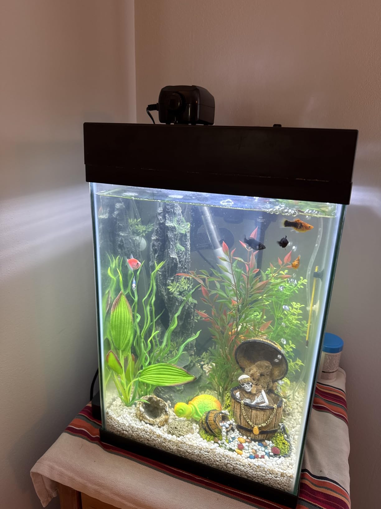 Uniclife Aquarium Air Pump Dual Outlet Fish Tank Aerator with Accessories for 5-200 Gallon Tank customer photo 1