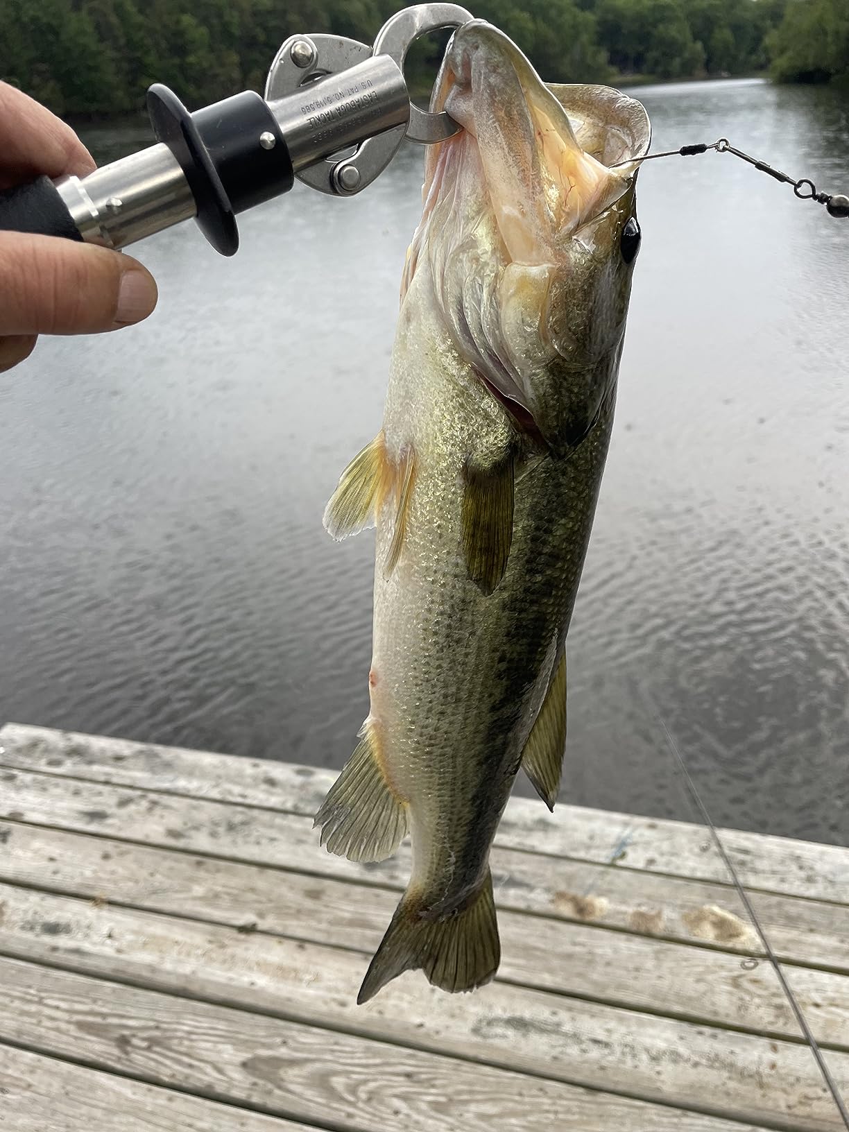Strike King Rage Swimmer Fishing Lure, Soft Plastic Paddle Tail Swimbait customer photo 1